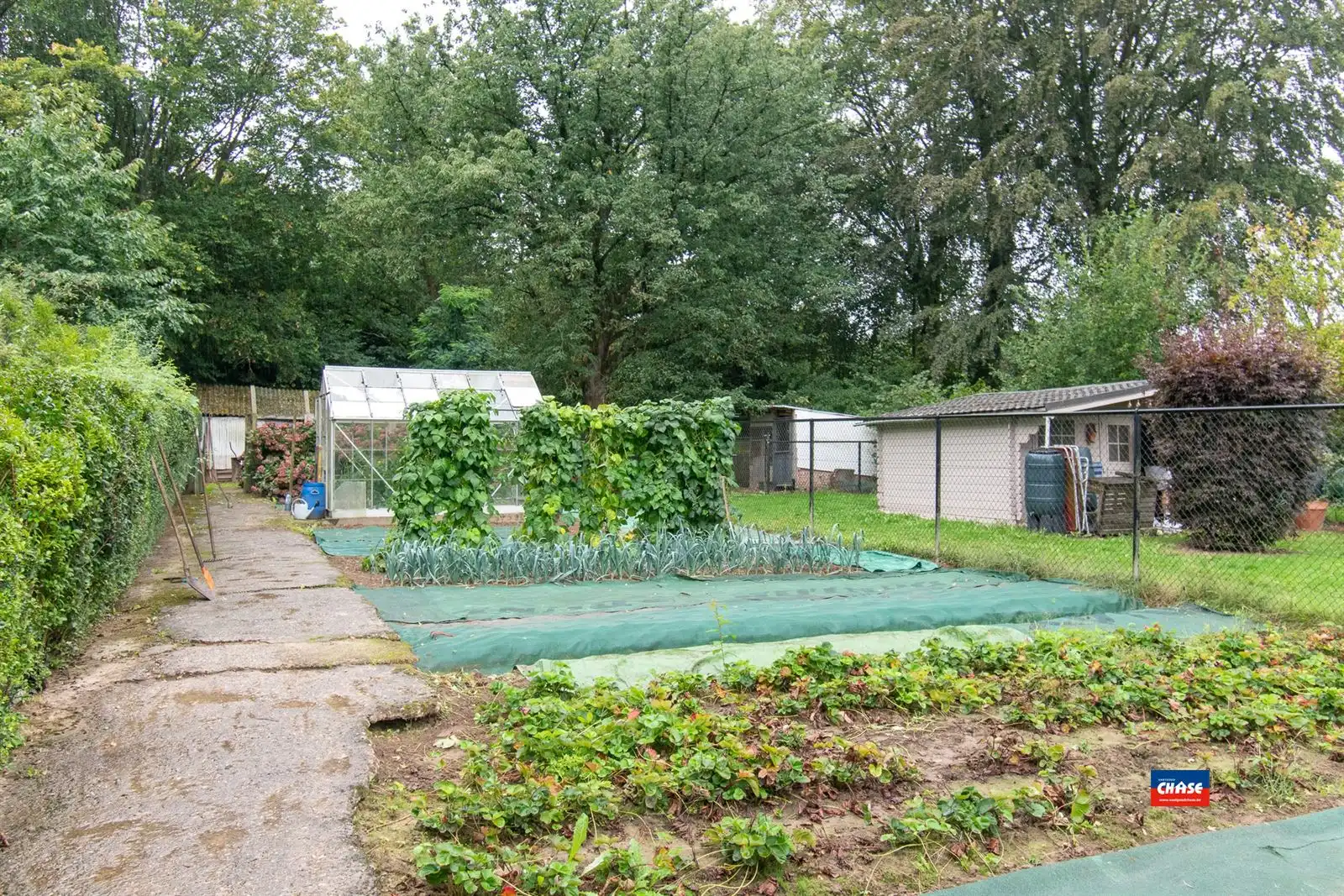 HOB met drie slaapkamers, garage en grote tuin foto 15