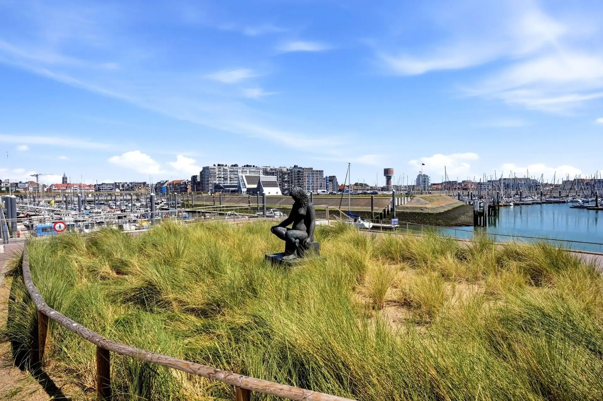 TOPLOCATIE / KOER  foto 24