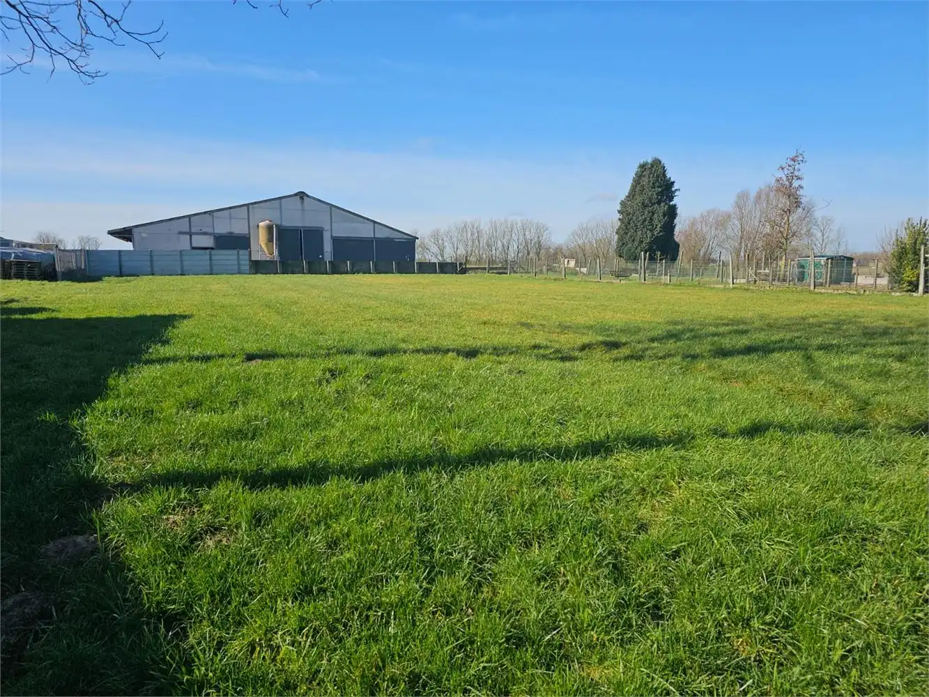 Grond met totale oppervlakte van 2430m² foto 3