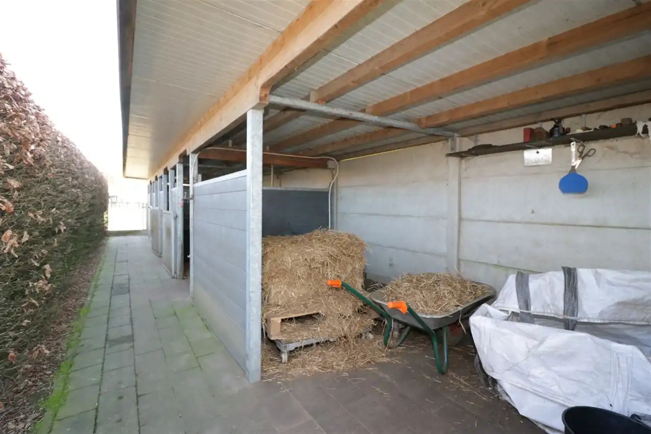 groene omgeving,  klein weiland, zichtbaarheid foto 41