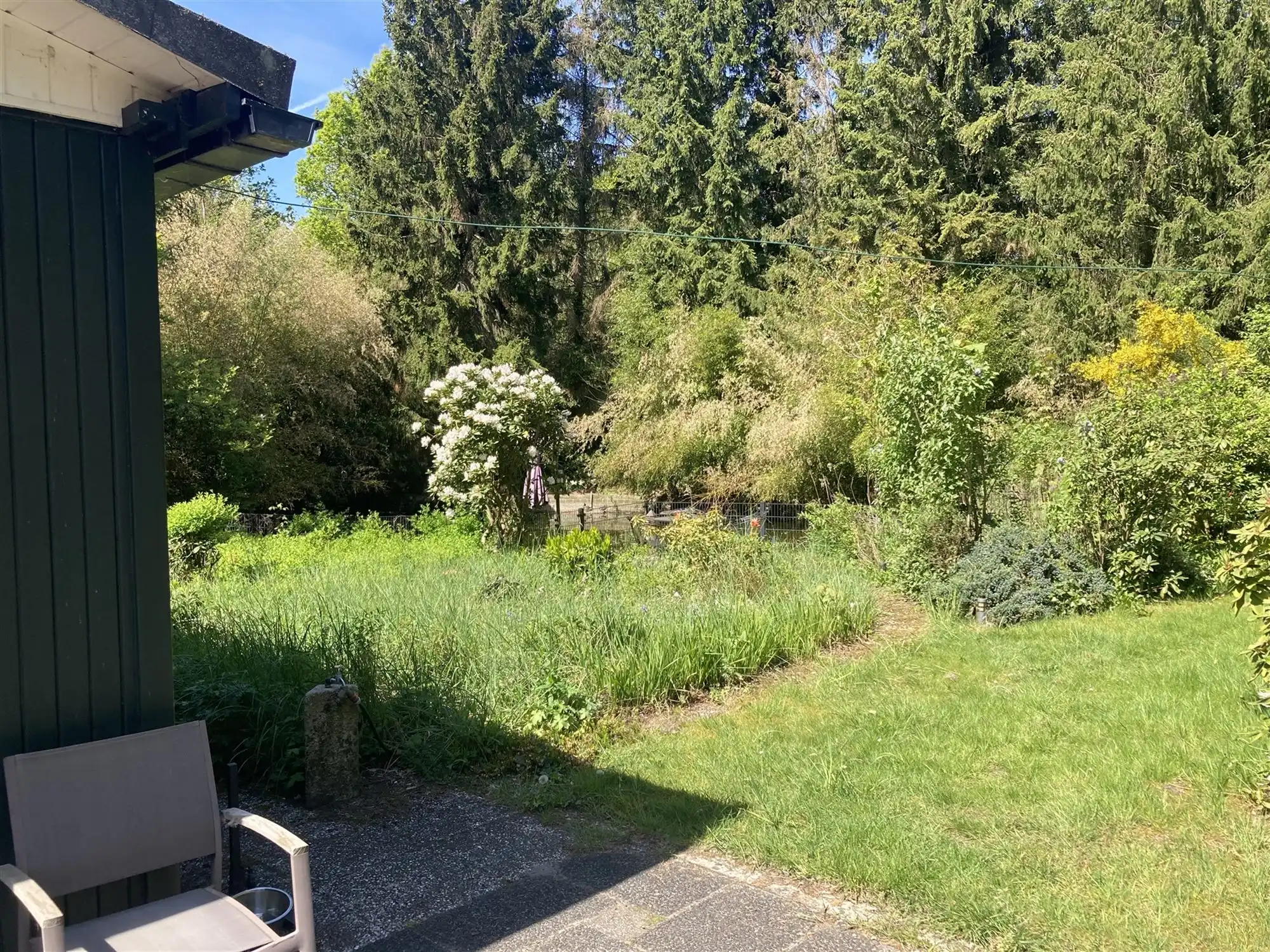 instapklare vakantiewoning in een uniek natuurgebied foto 17