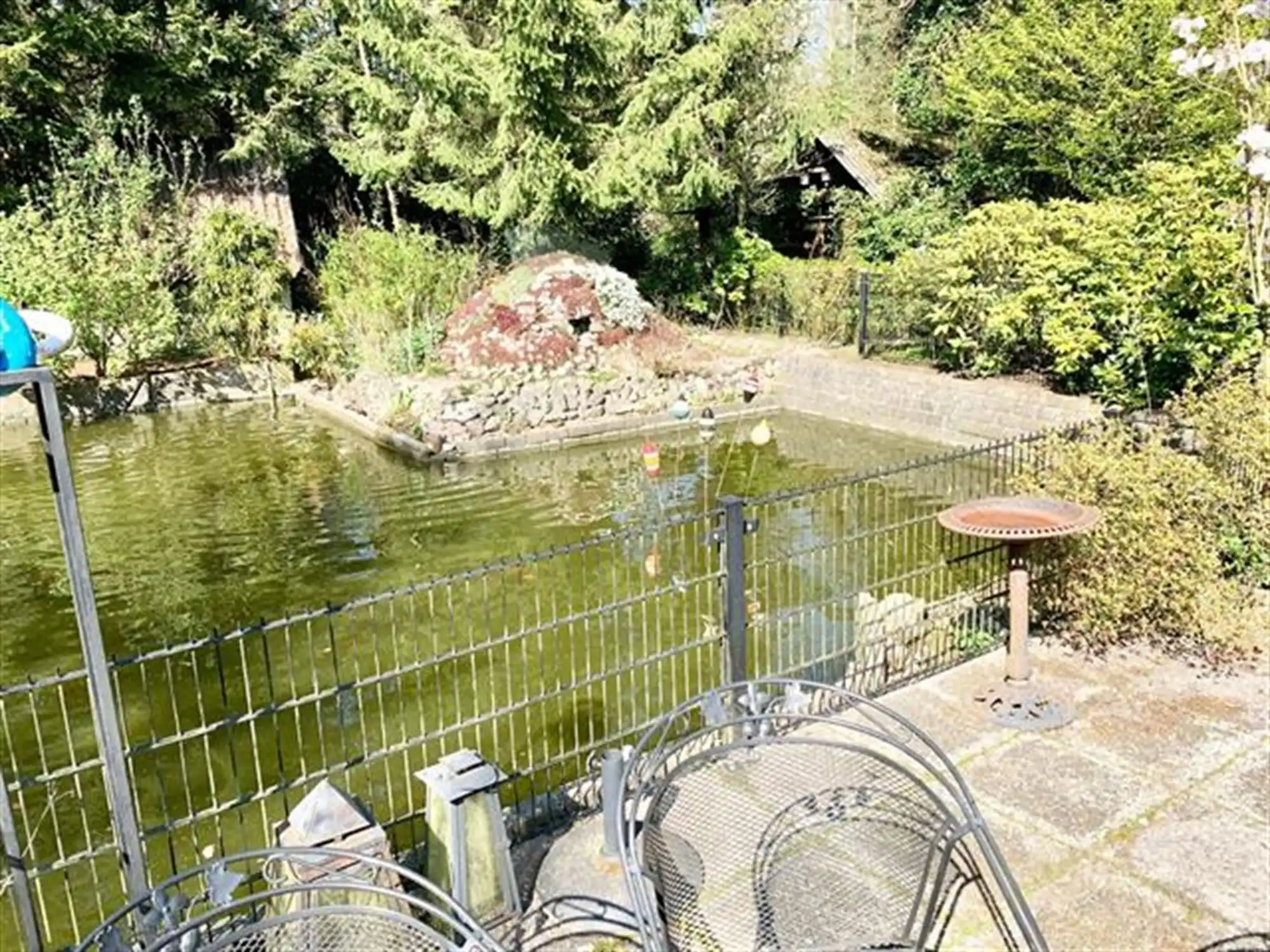 instapklare vakantiewoning in een uniek natuurgebied foto 17