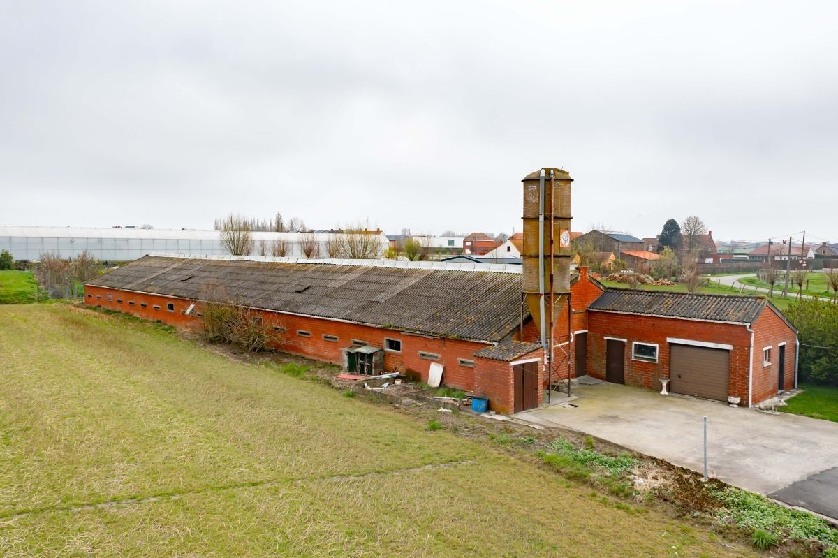 Woning en bijgebouw met grond te koop te Meulebeke foto 3