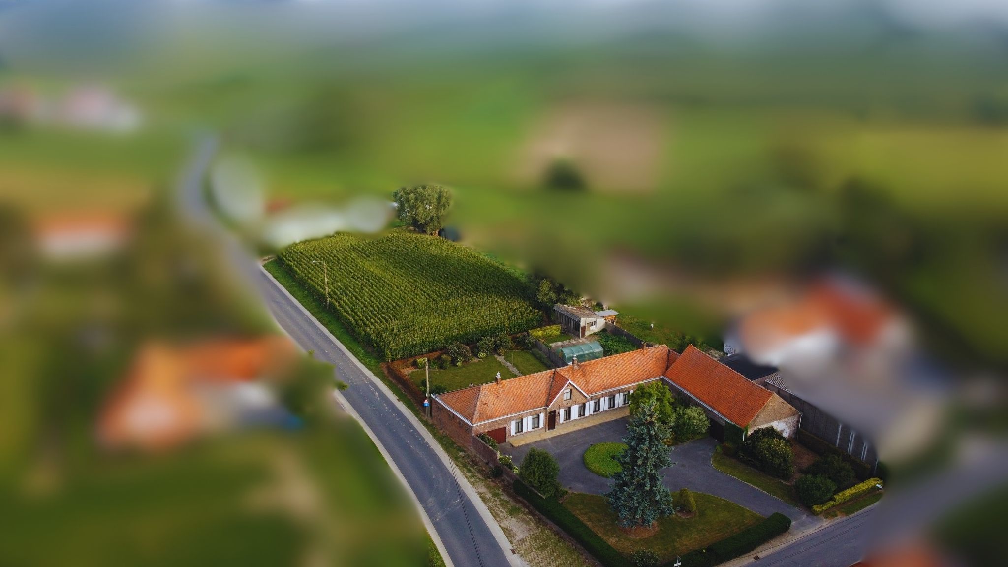 Hoeve met stallen op 3780 m² aan de grens met Elsegem foto 3