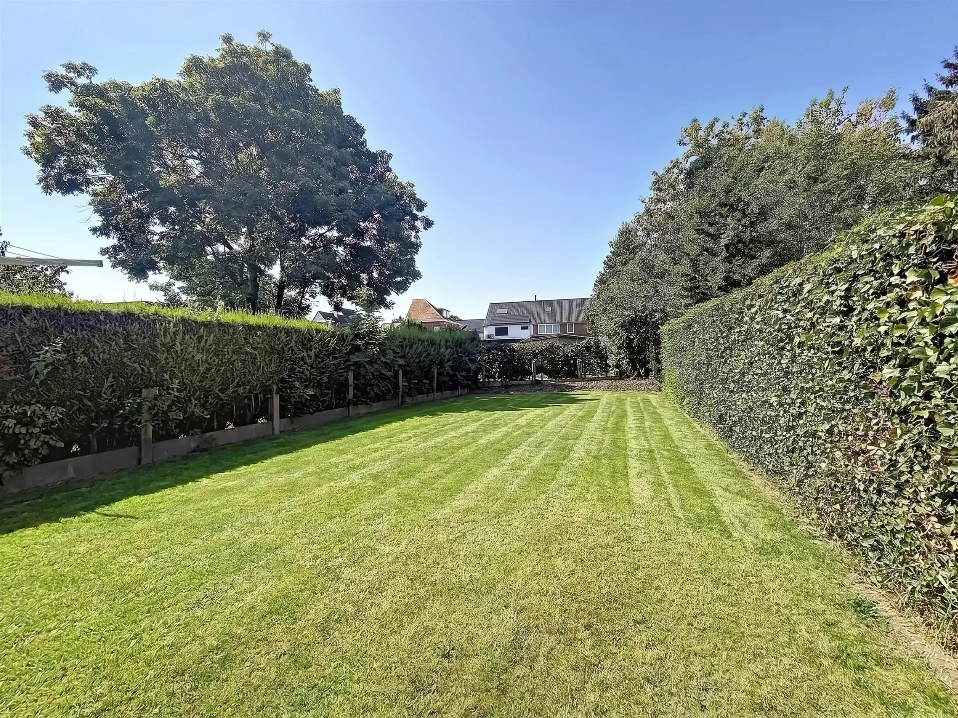 Instapklare woning op toplocatie in Belsele! foto 4