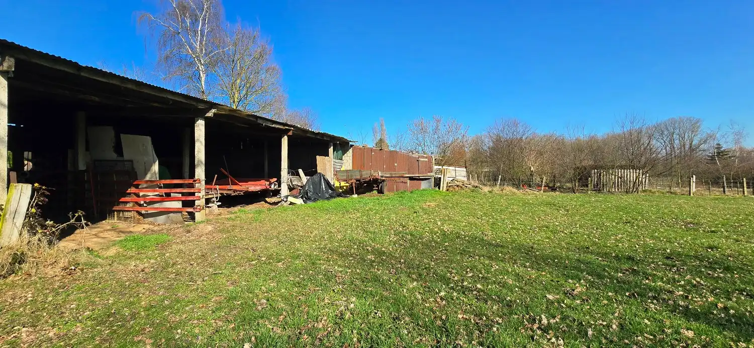 Boerderij te koop foto 22