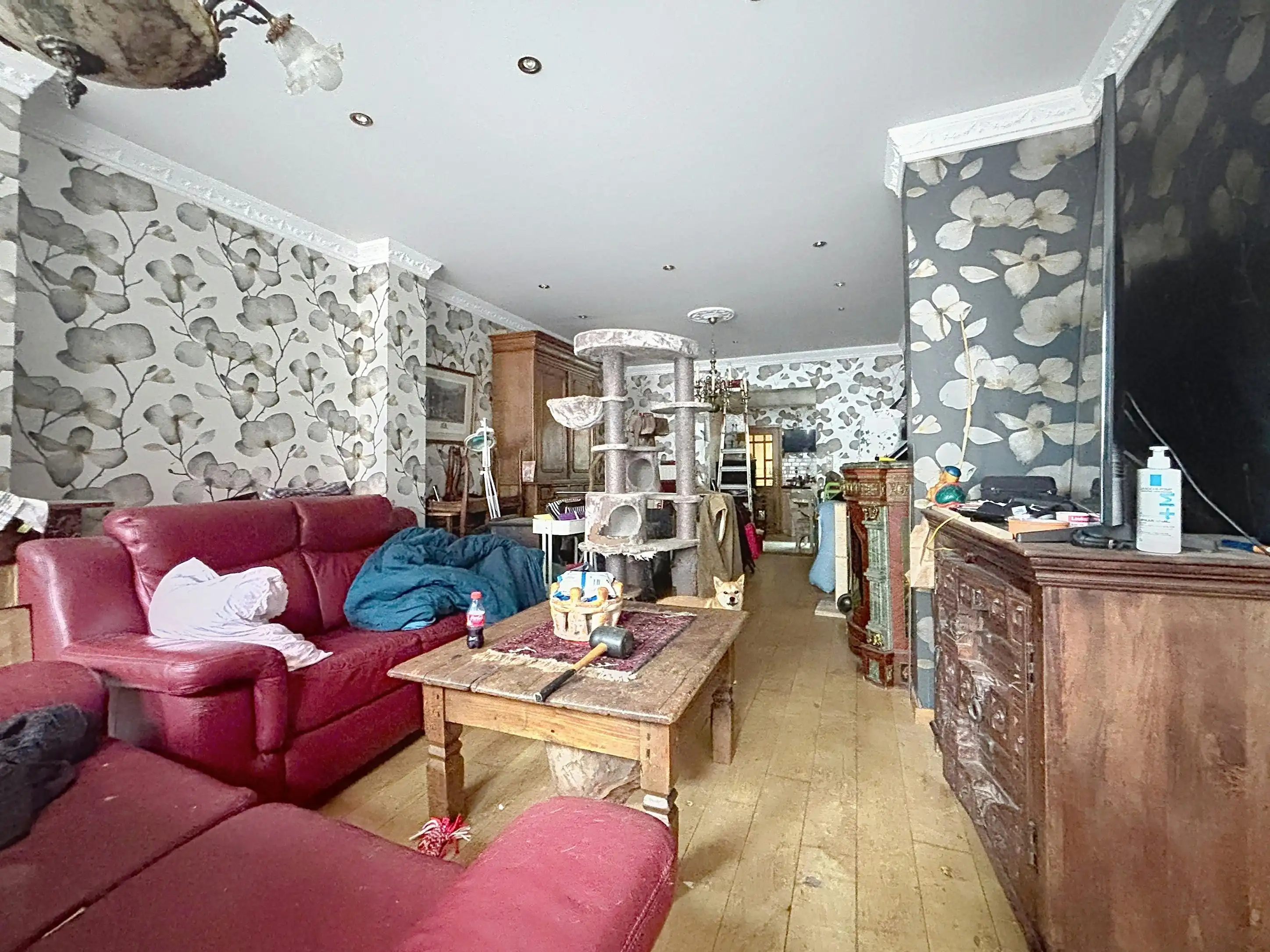 Te renoveren huis (175m²) in Deurne met terras  foto 2