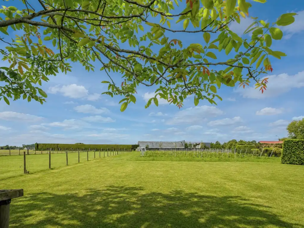 Karaktervolle gerenoveerde hoeve met zwembad en wijngaard op 4.700 m² te Vurste. foto 9