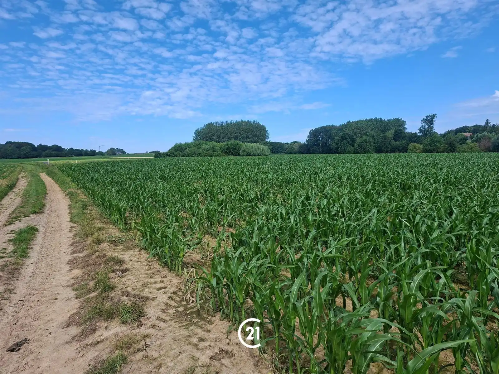 Prachtig perceel landbouwgrond 2hect67 bereikbaar via losweg foto 2