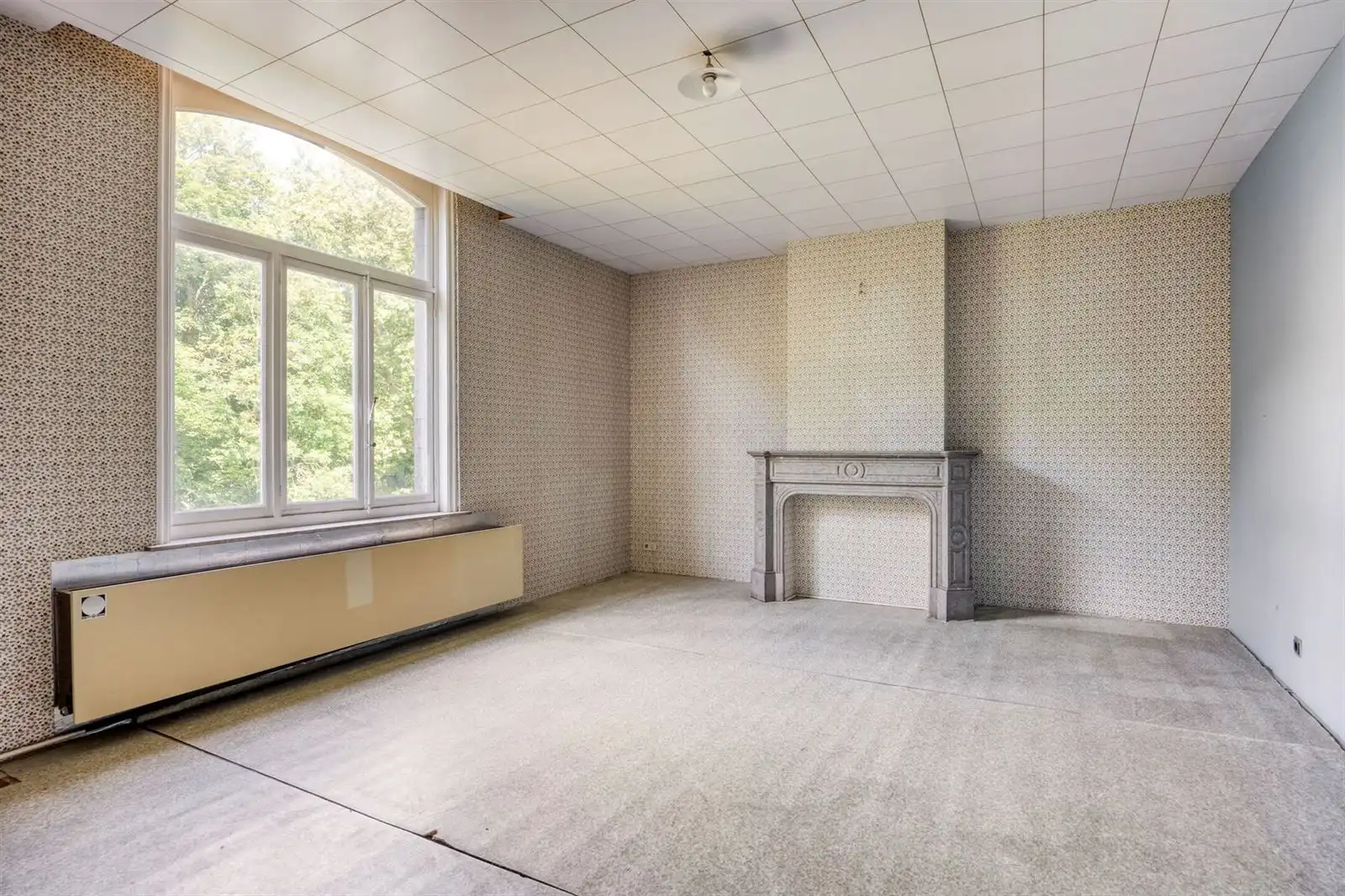Ruime herenwoning met voormalige dokterspraktijk foto 24