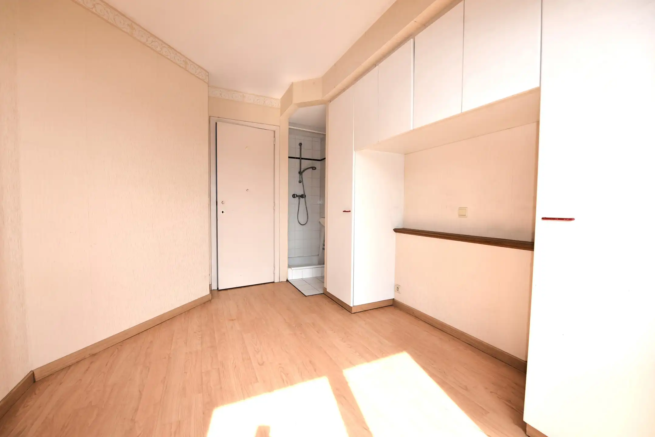 Lichtrijk appartement aan de zonnekant van de Lippenslaan. foto 11