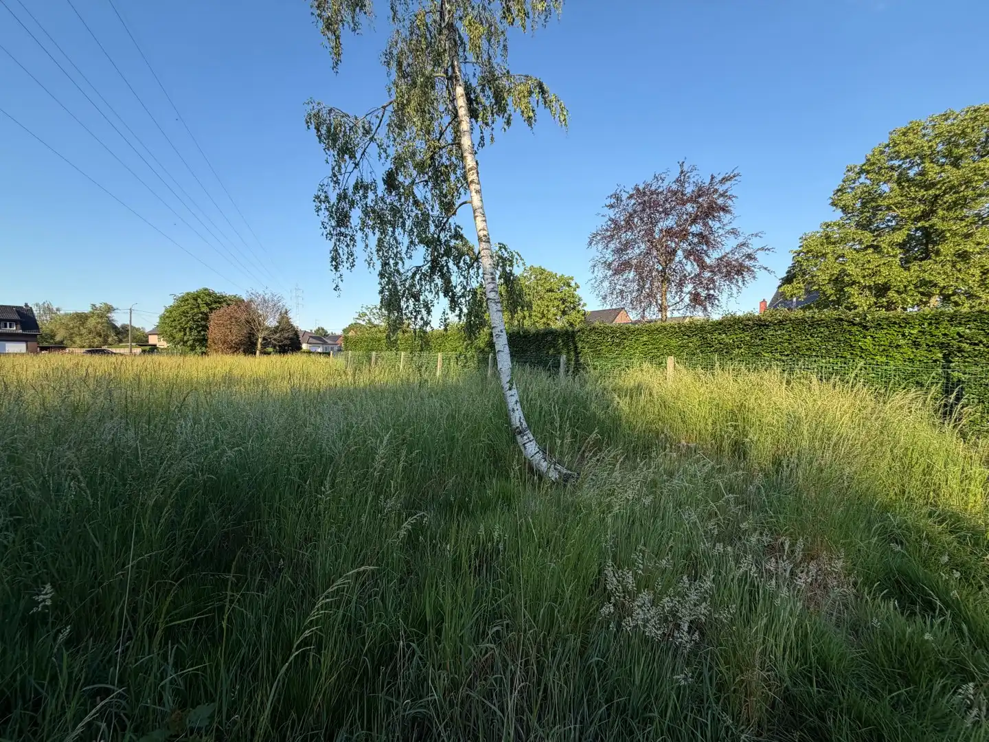 Uitzonderlijk gelegen bouwgrond met aansluitend weiland op 24a74ca in de Europawijk te Mol foto 8