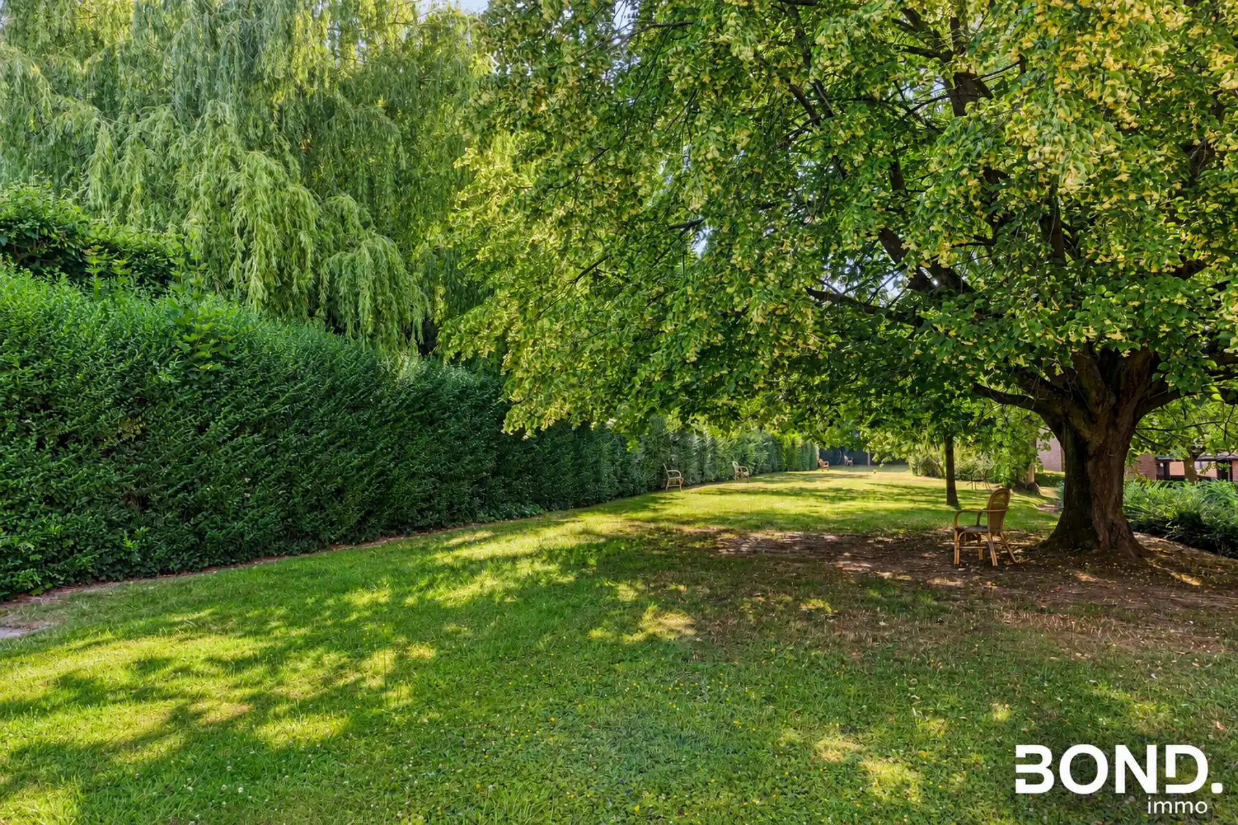 Gerenoveerde serviceflat in een rustige en groene omgeving foto 18