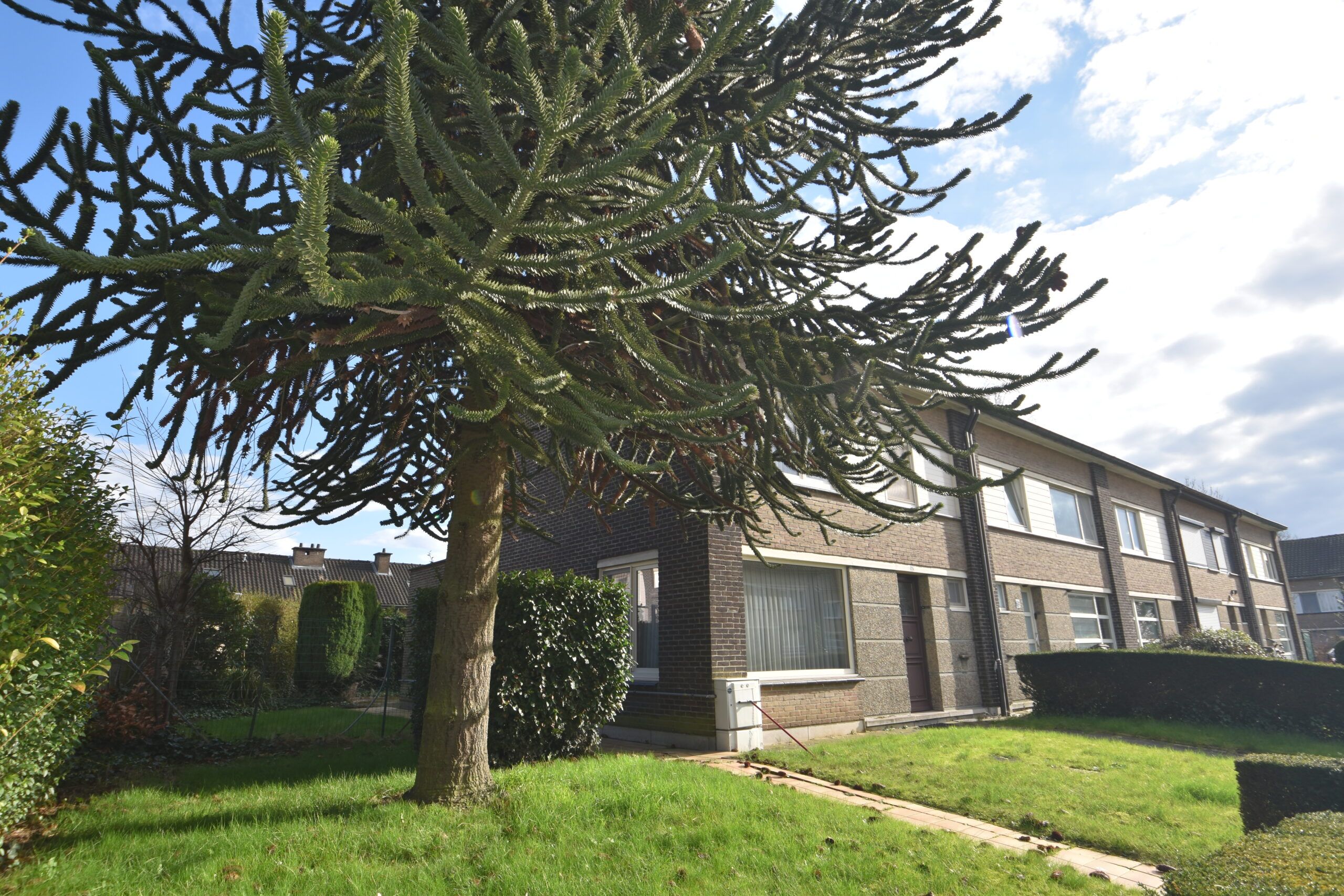 Halfopen bebouwing met 3 slaapkamers en tuin in Temse foto 9