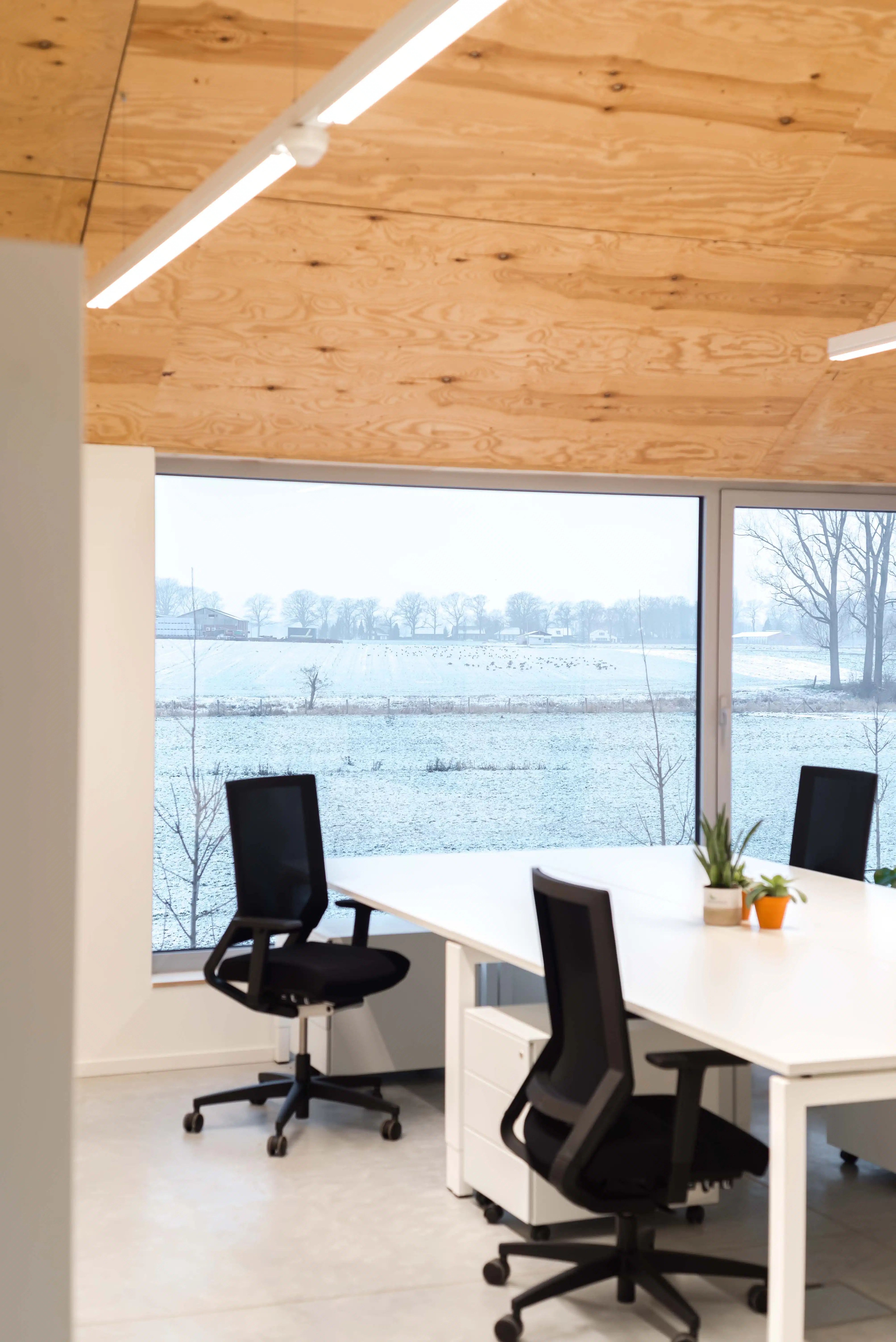 Kantoorruimte(s) te huur in het innovatieve Agropolis Park – Kinrooi foto 3