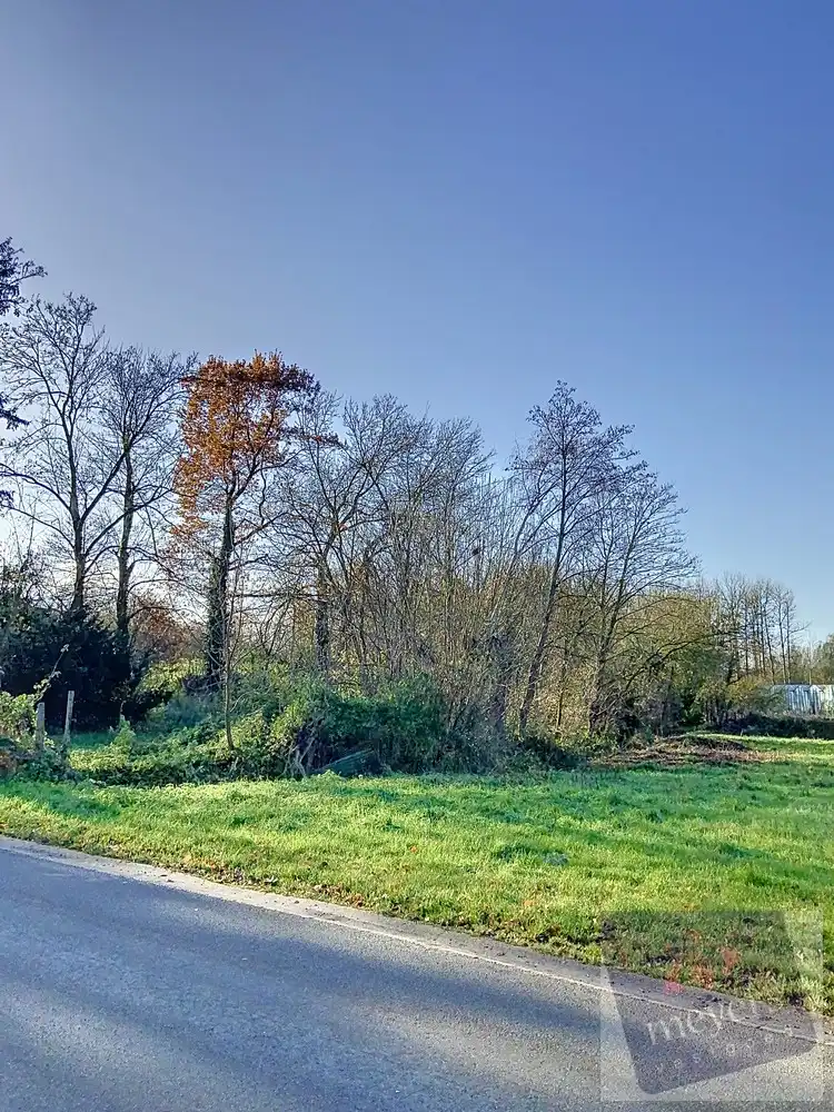 Exclusieve bouwgrond van 10a82ca in het groene Klein-Gelmen foto 5