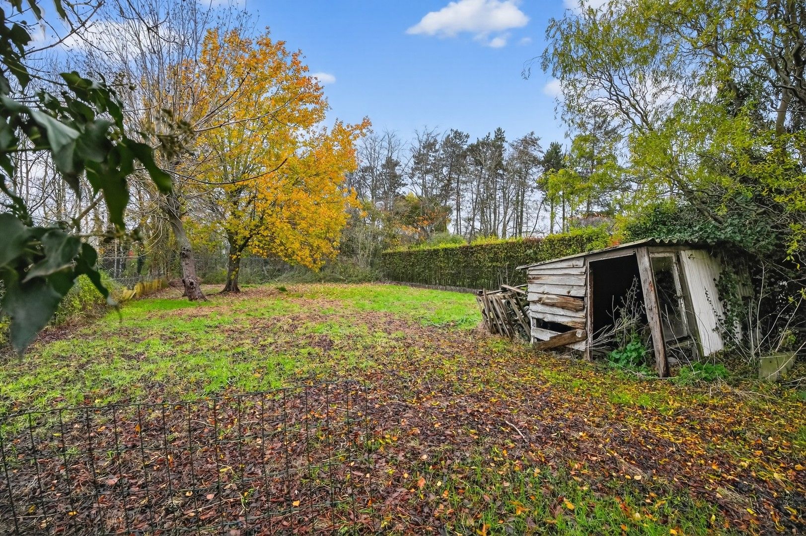 Stevige woning met grote tuin op 1.112 m², tal van mogelijkheden. foto 20