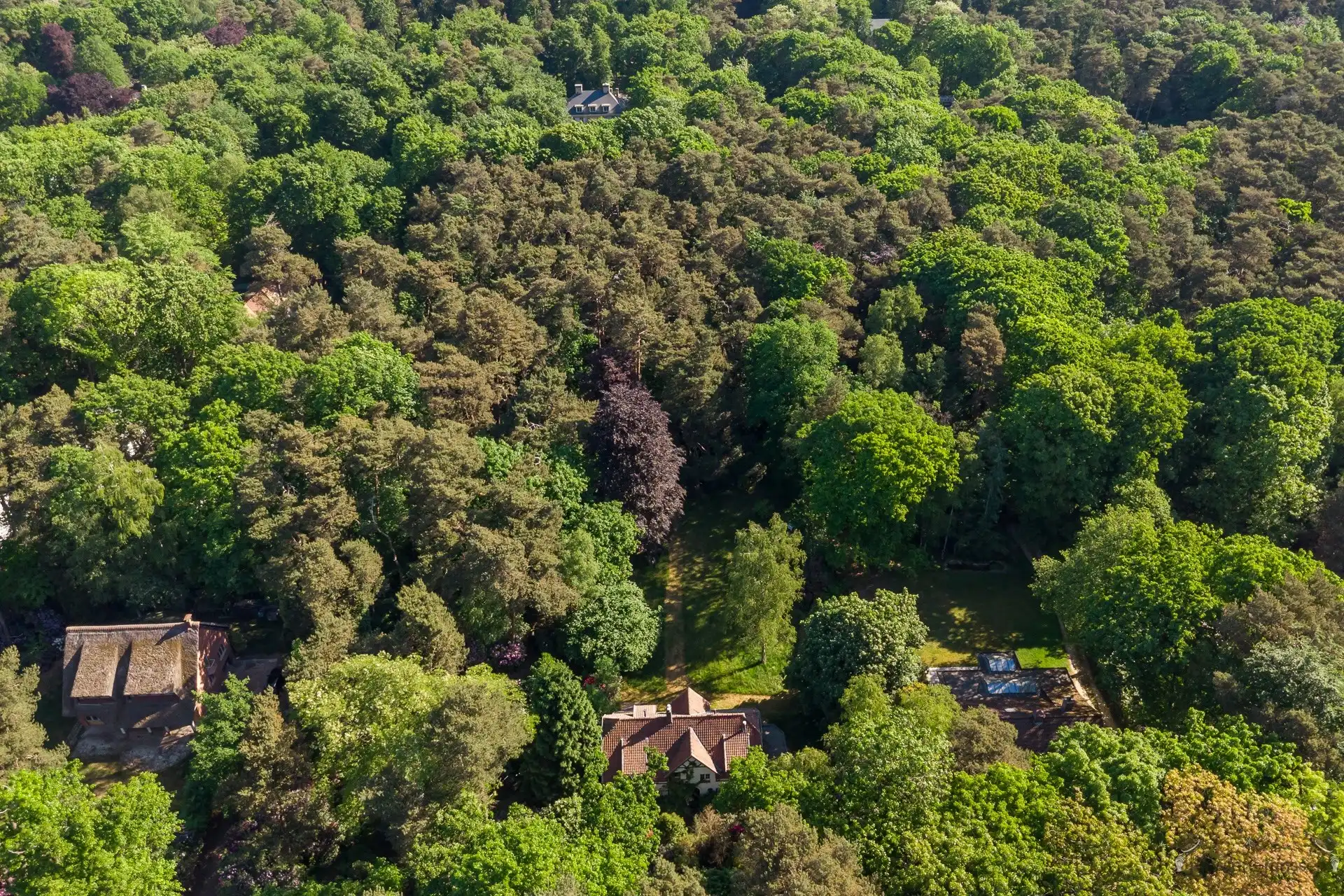 Karaktervolle cottage-villa op een royaal perceel van 8.603 m² in Kapellenbos. foto 44