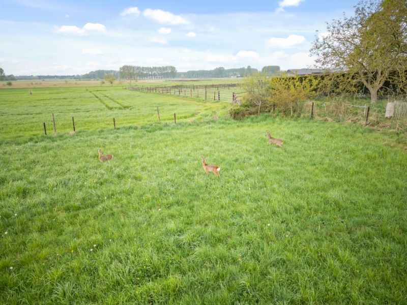 LANDBouwgrond  8462 grondopp - GEEN pacht !!! foto 14