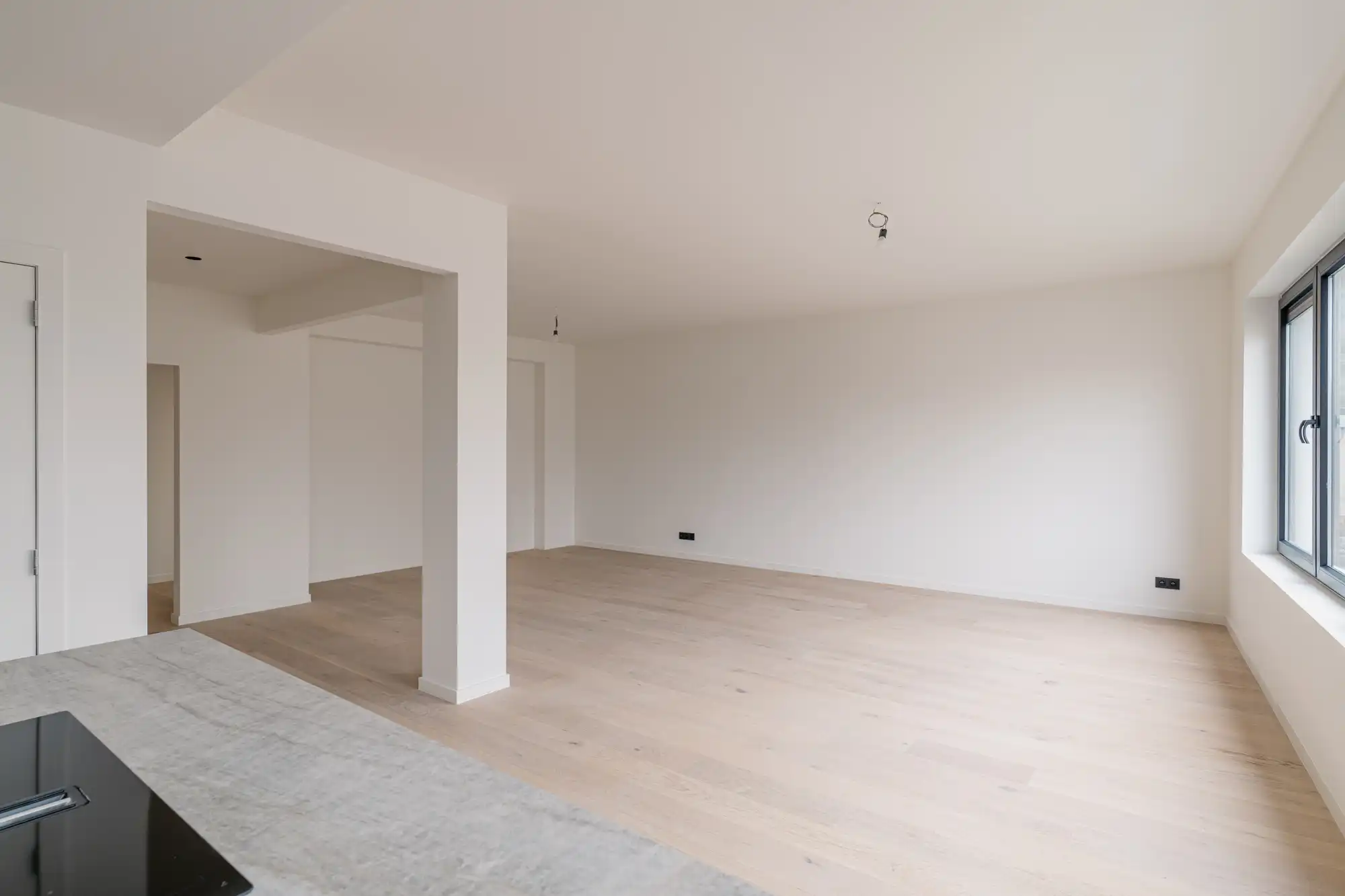 Geen typische renovatie: onberispelijk appartement met 2 slaapkamers nabij Fort V in Edegem foto 2