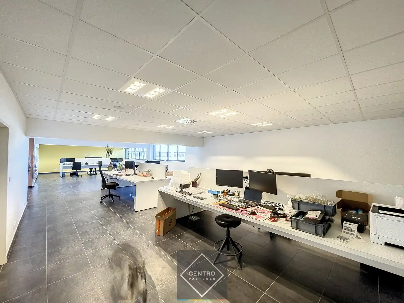 Instapklaar BEDRIJFSGEBOUW bestaande uit MAGAZIJNEN (2.685m²) met 2 LAADKADEN en instapklare KANTOREN (600m²) op industriezone "Herdersbrug" te Brugge foto 14