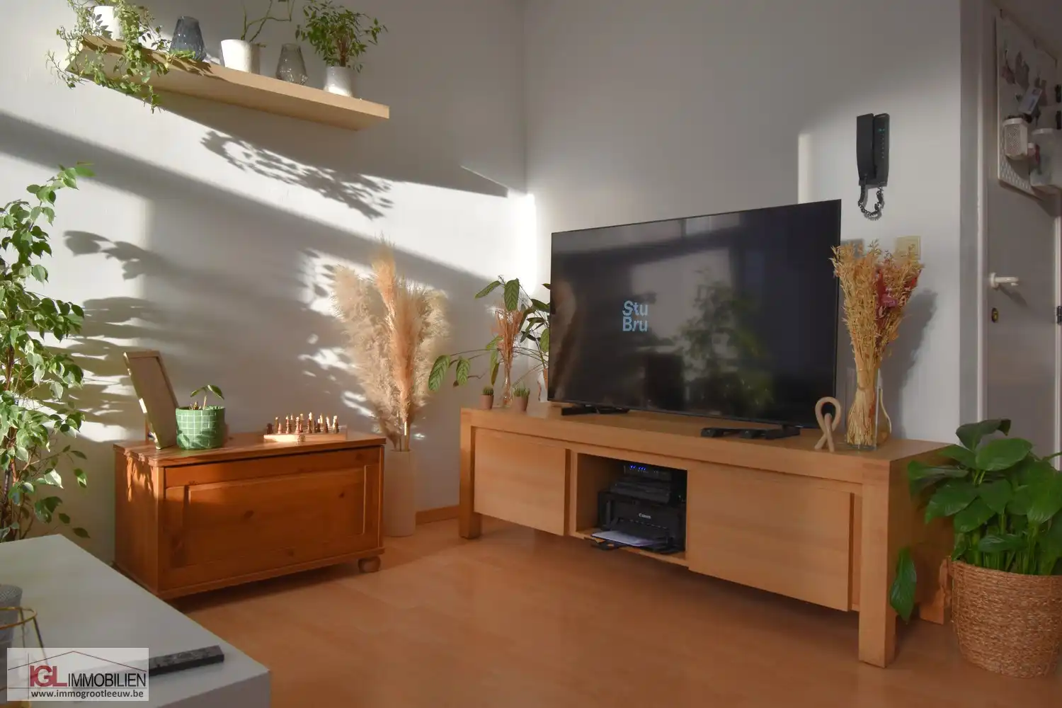 1-kamer appartement met groot terras te centrum Halle foto 3