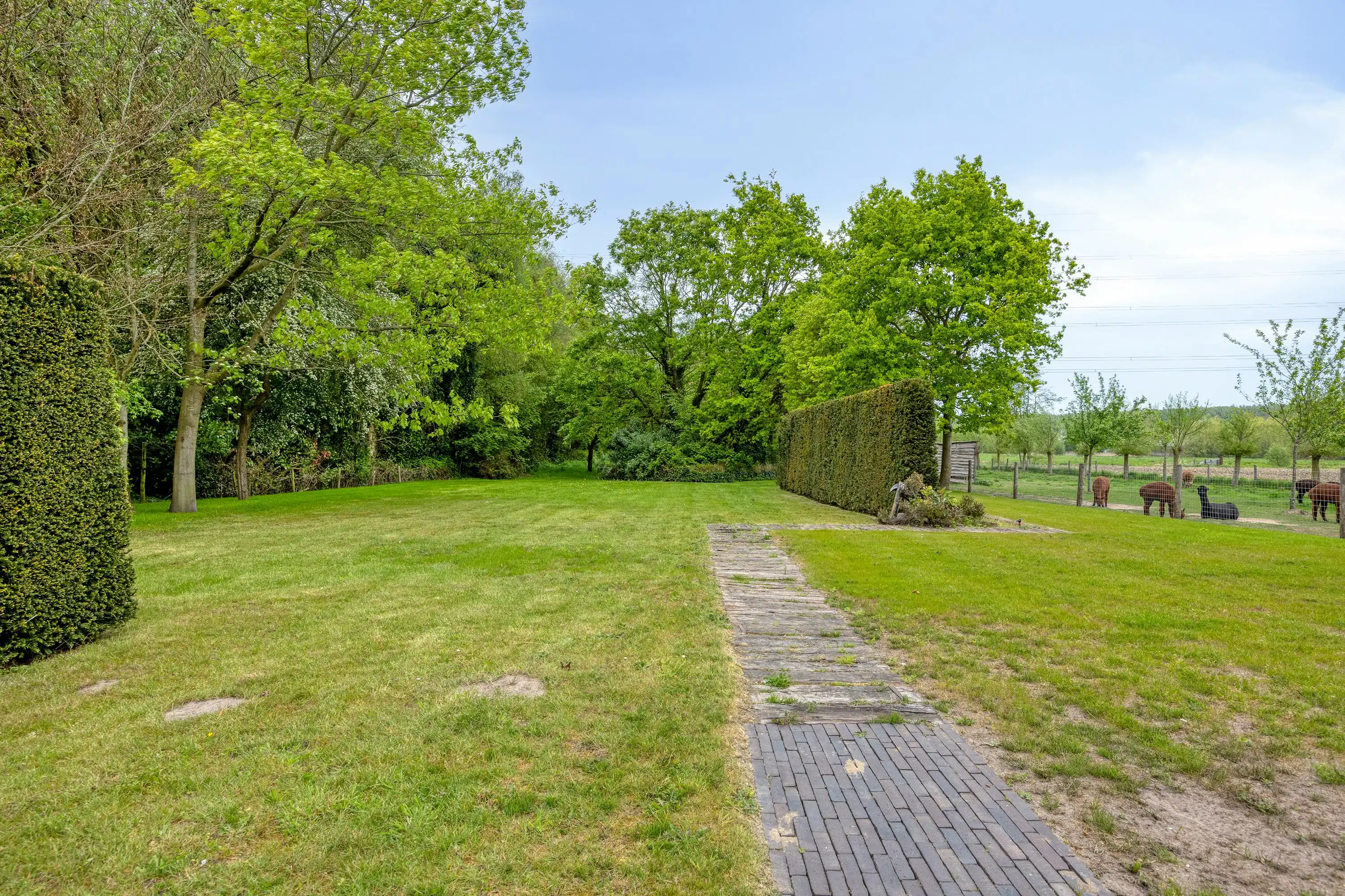Vrijstaand huis met bijgebouw op perceel van 4012m² te Moerkerke foto 8