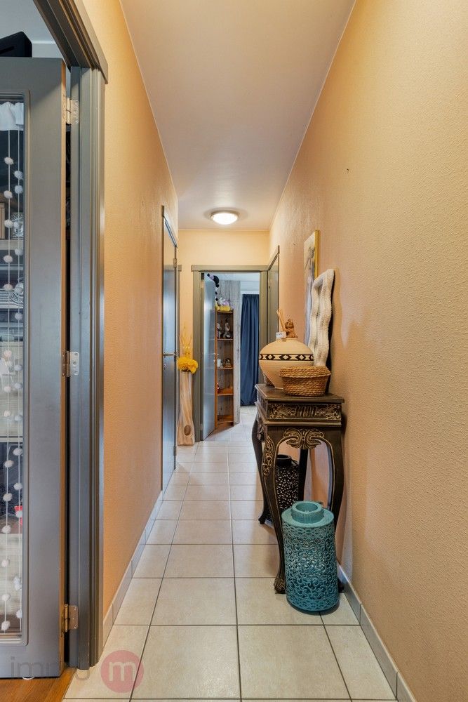 Ruim en lichtrijk appartement met twee terrassen en uitzicht op het Vijverpark aan de rand van Anderlecht 🌿 foto 10