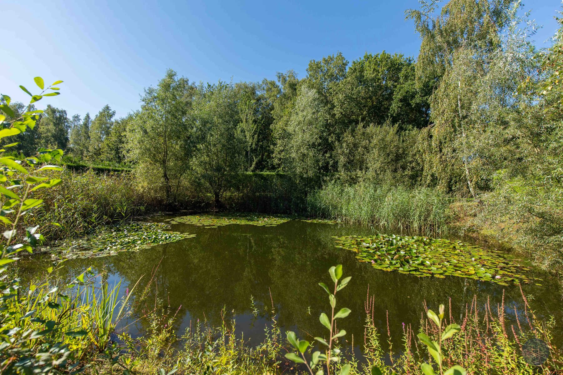 Op te frissen hoeve met natuurlijke vijver foto 7