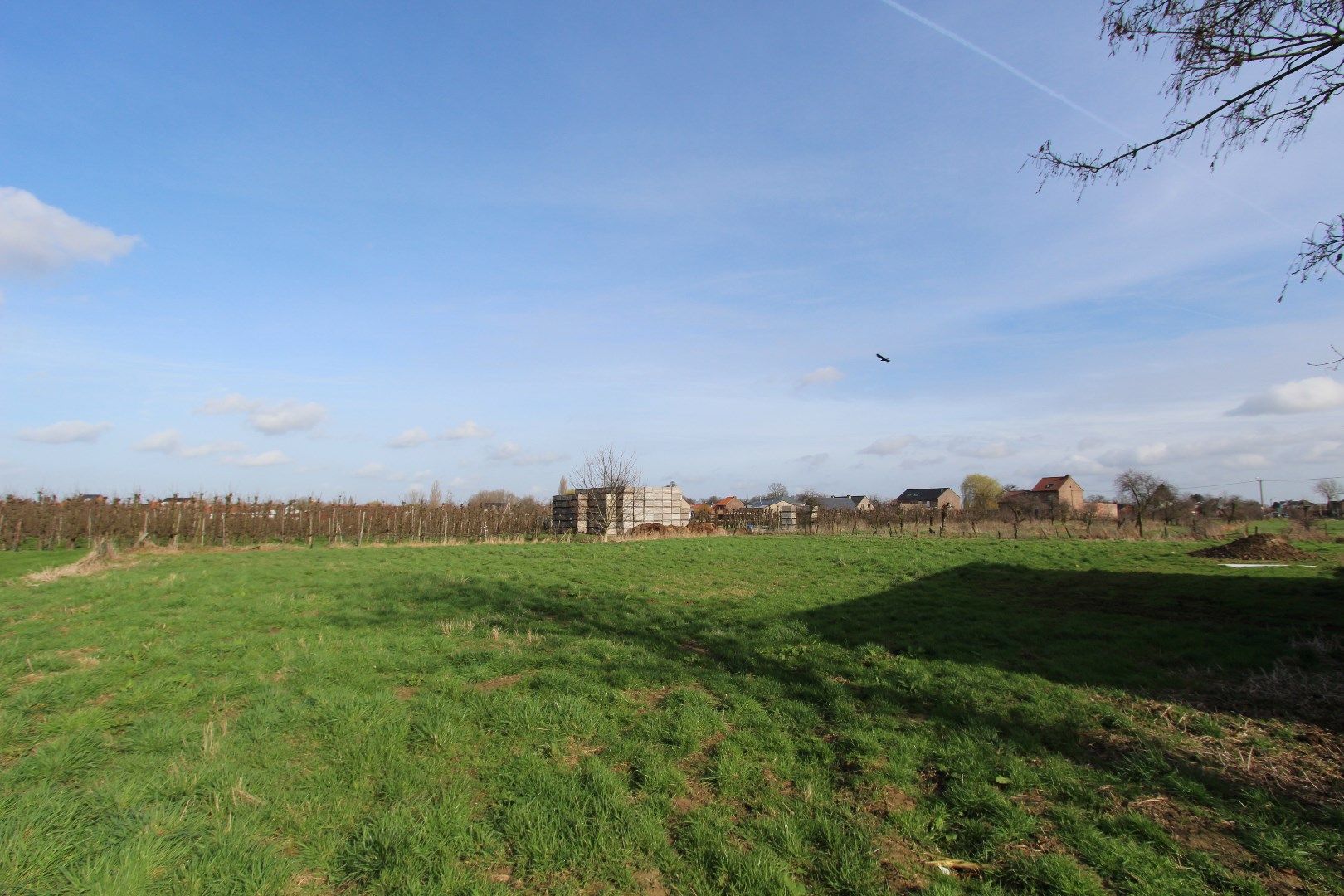 Landelijk gelegen hoeve op 40 are foto 6