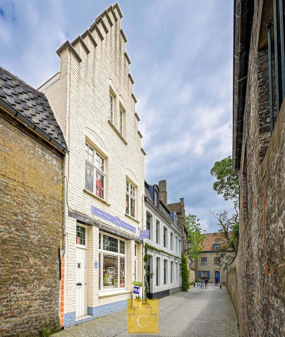 Trapgevelwoning met idyllische zichten en mogelijkheid tot uitbaten van winkel nabij de Dijver foto 3