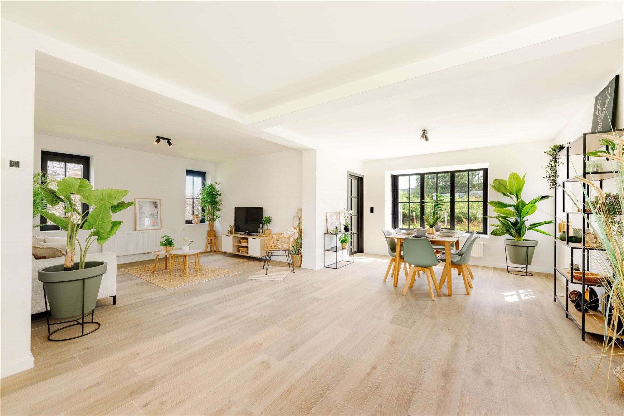 Vrijstaande woning met 3 slaapkamers, garage en tuin foto 5