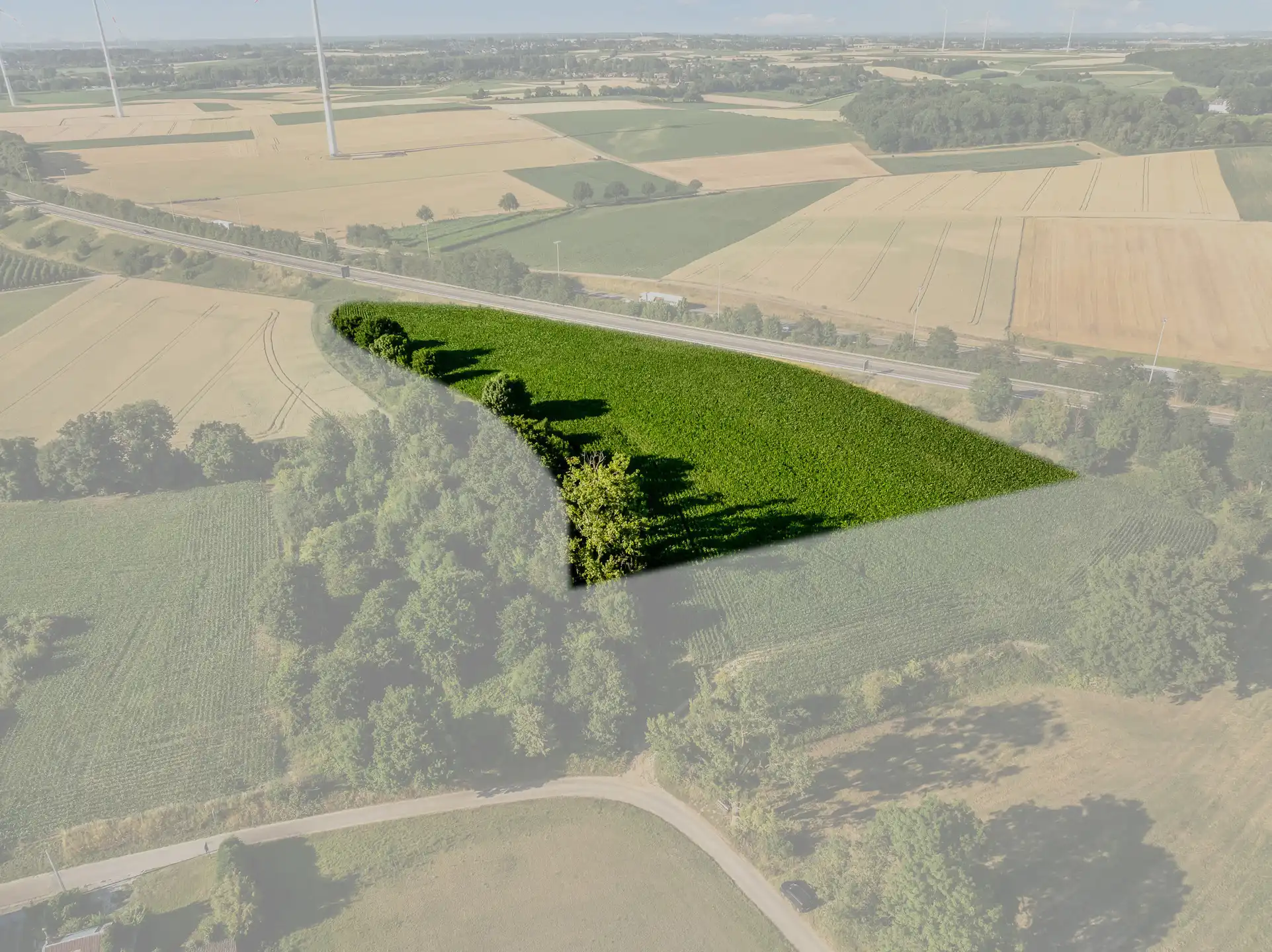 Grond te koop Demerbronstraat - 3700 Tongeren-Borgloon