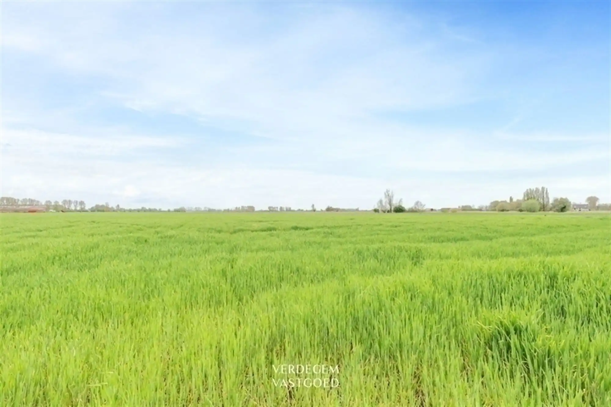 Rustig wonen in een heerlijk polderdorp: knappe woning met 3 slaapkamers foto 20
