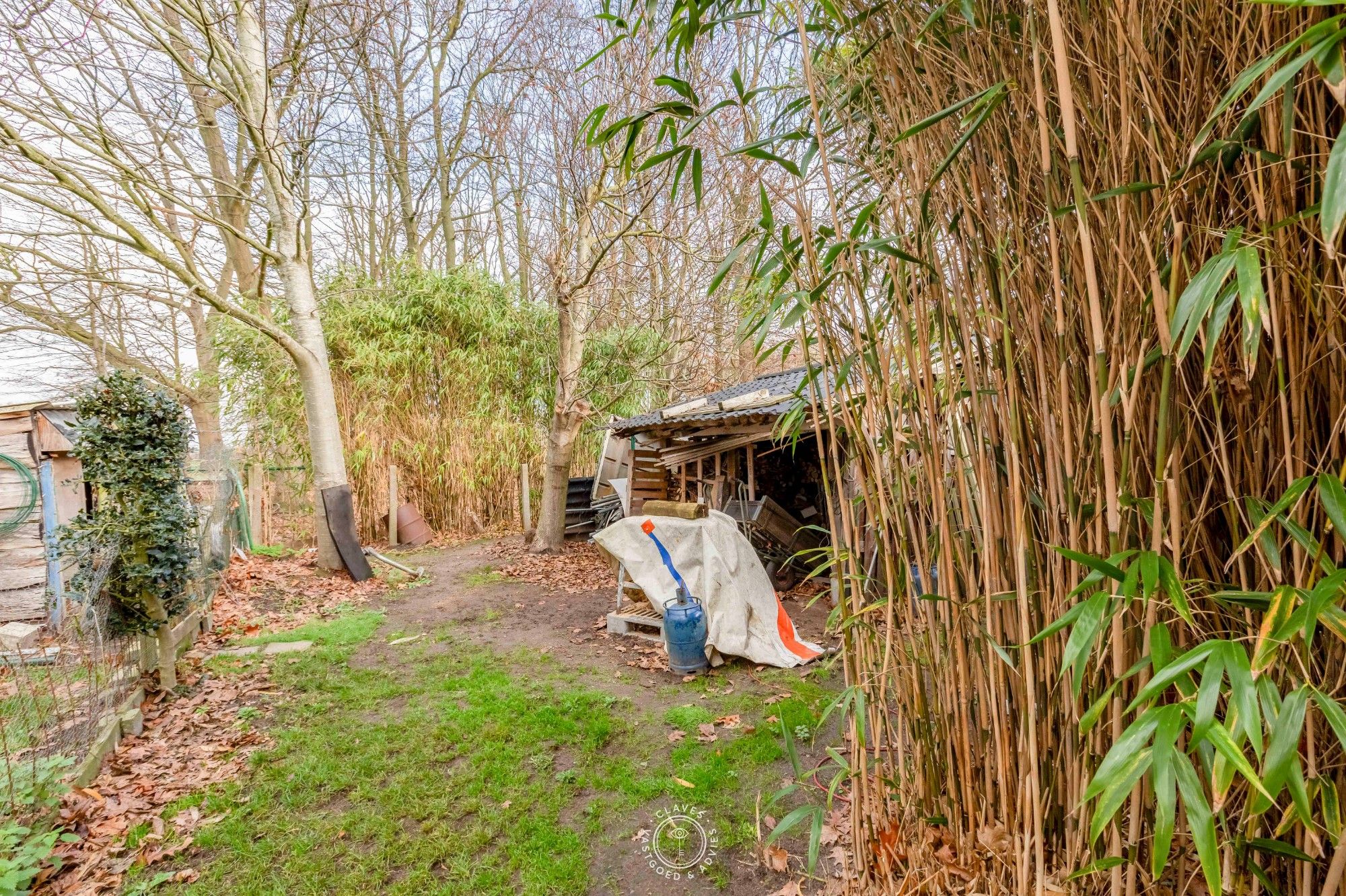 Ruime gezinswoning met 4 slaapkamers, magazijn en zicht op het groen foto 10