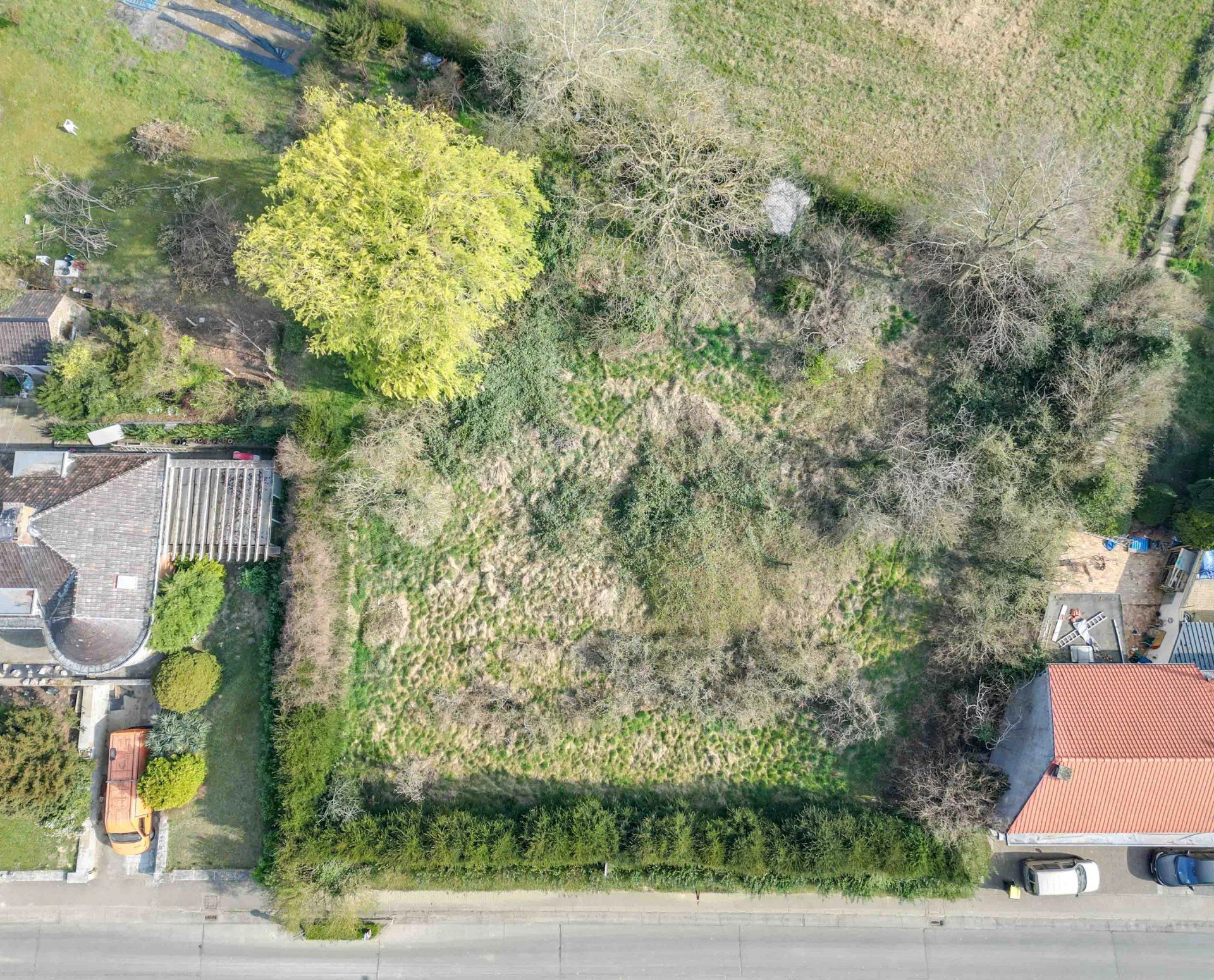 Bouwgrond met projectpotentieel foto 4