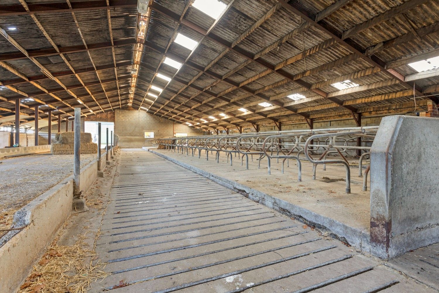 Prachtige boerderij op 1,4 hectare grond in Rekem/Lanaken foto 20