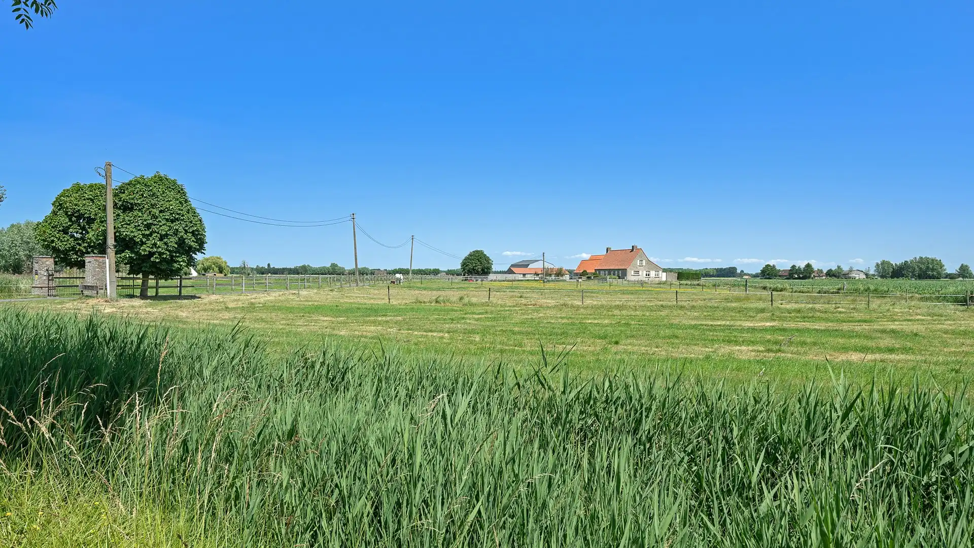Prachtig gelegen eigendom op bijna 5ha te Ramskapelle foto 17