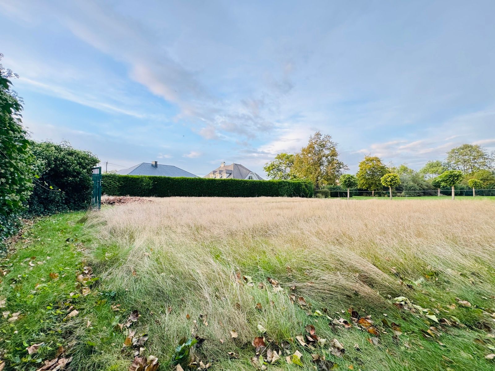 Bouwgrond van 861m² voor open bebouwing TOPLIGGING foto 8