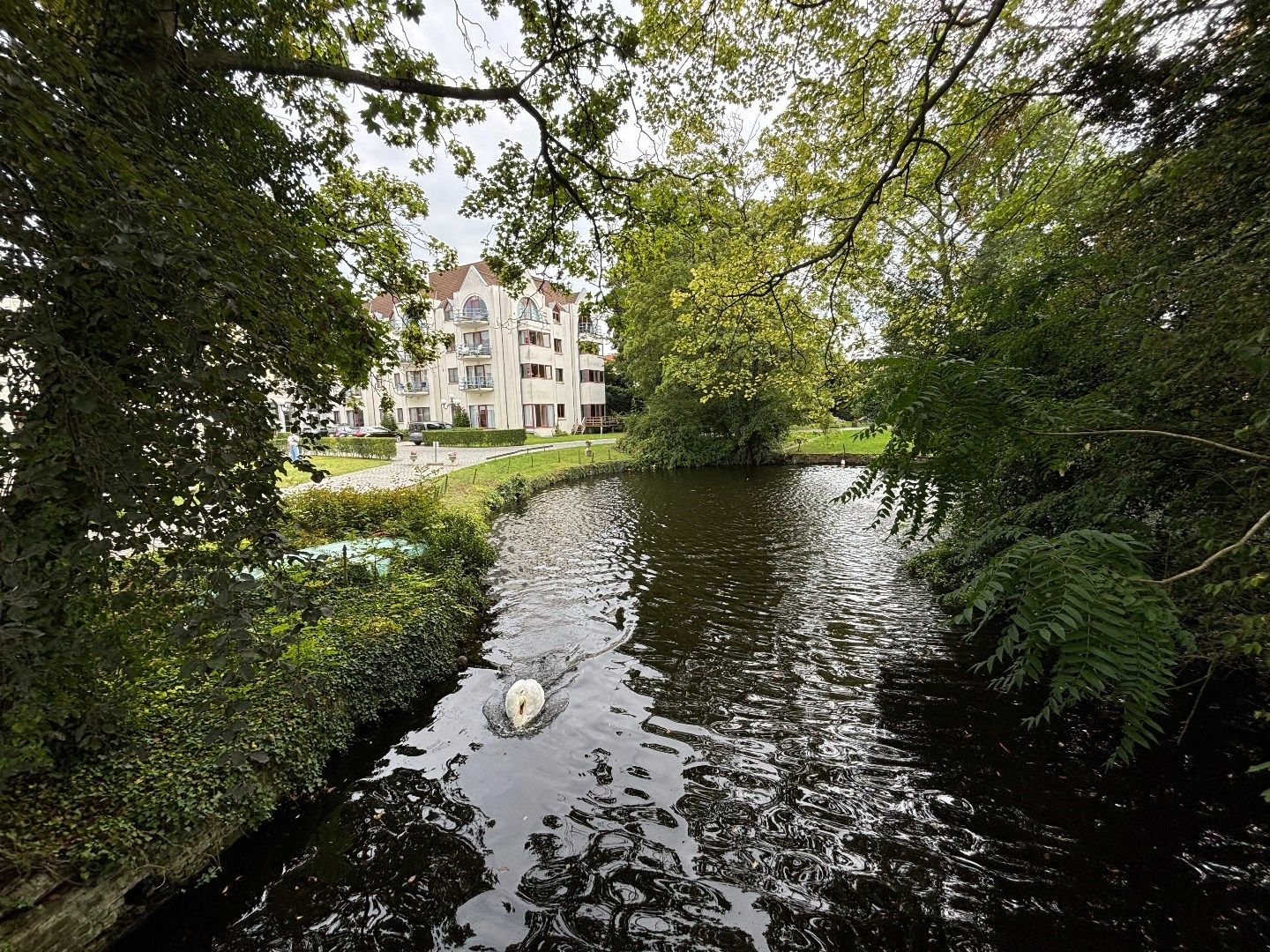 Stijlvolle assistentiewoning in het hart van Brugge foto 15