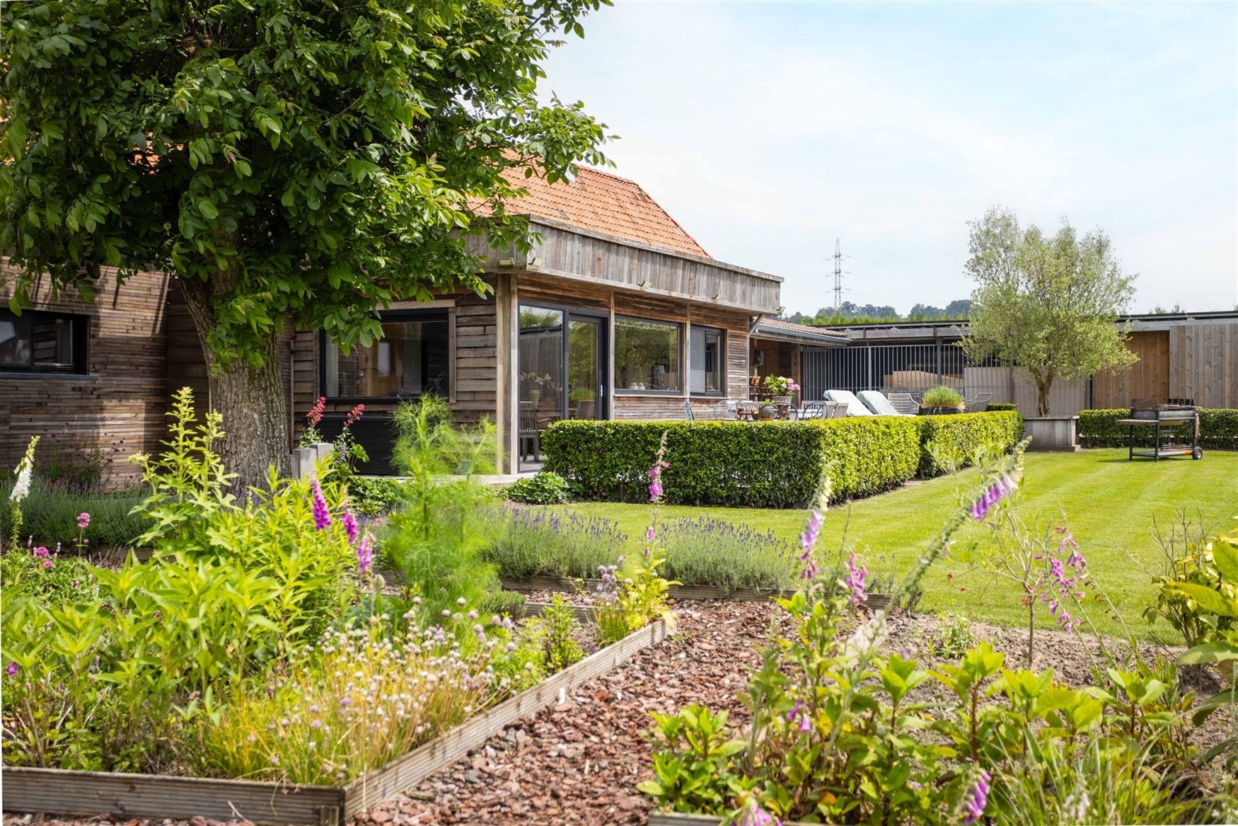 Hoeve met horeca B&B en woonst foto 10