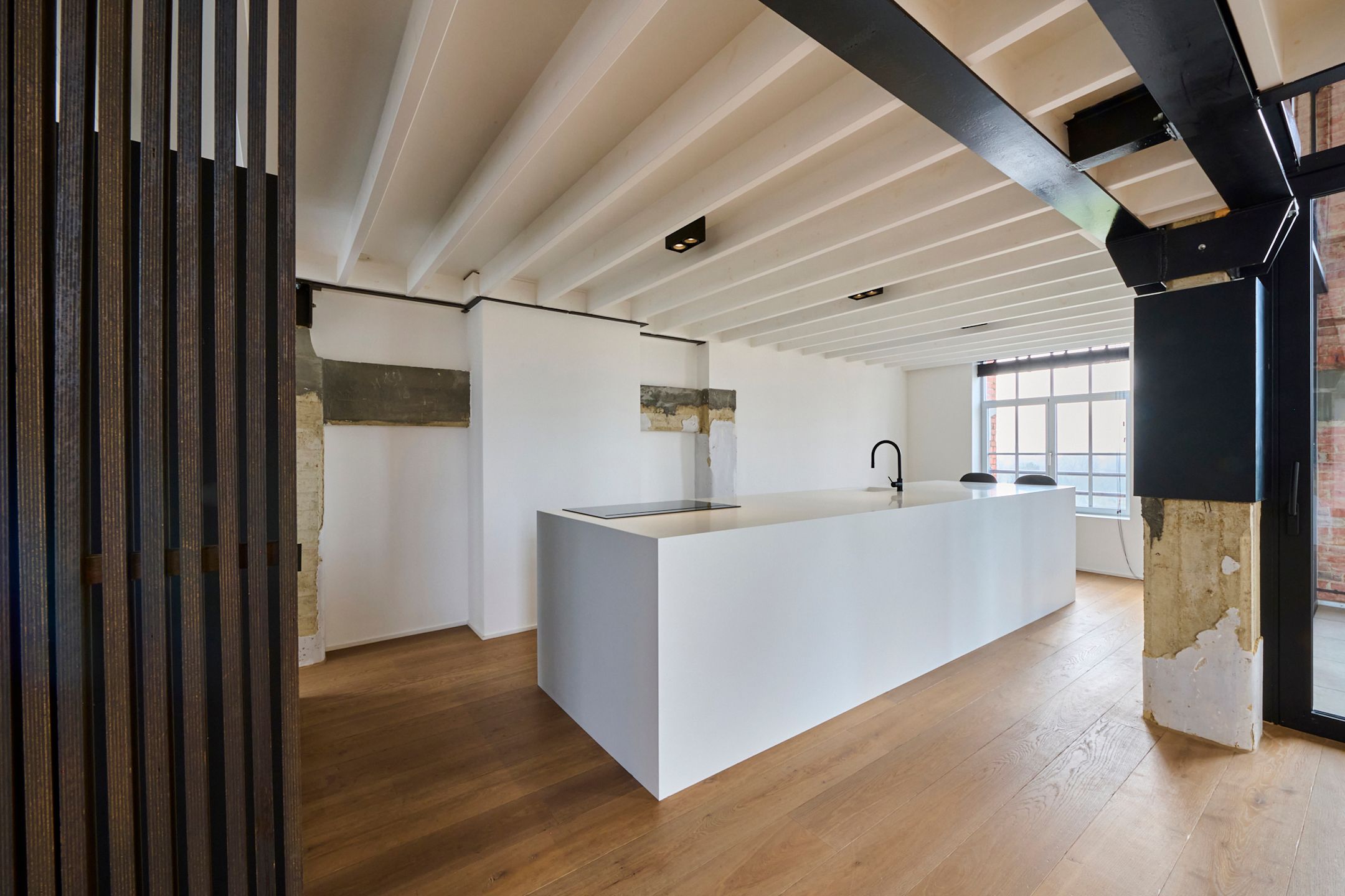 RIANTE PENTHOUSE-LOFT 263m² foto 2