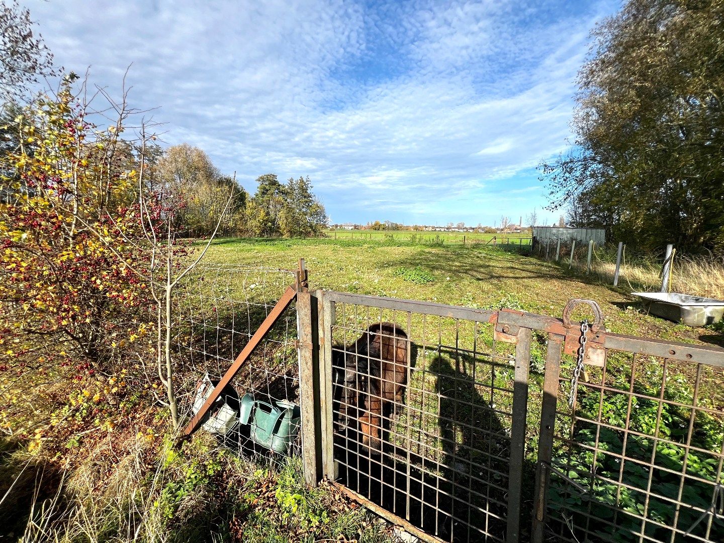 Weiland te koop – 3.160 m² – Zwevegem 🌿🐴 foto 2