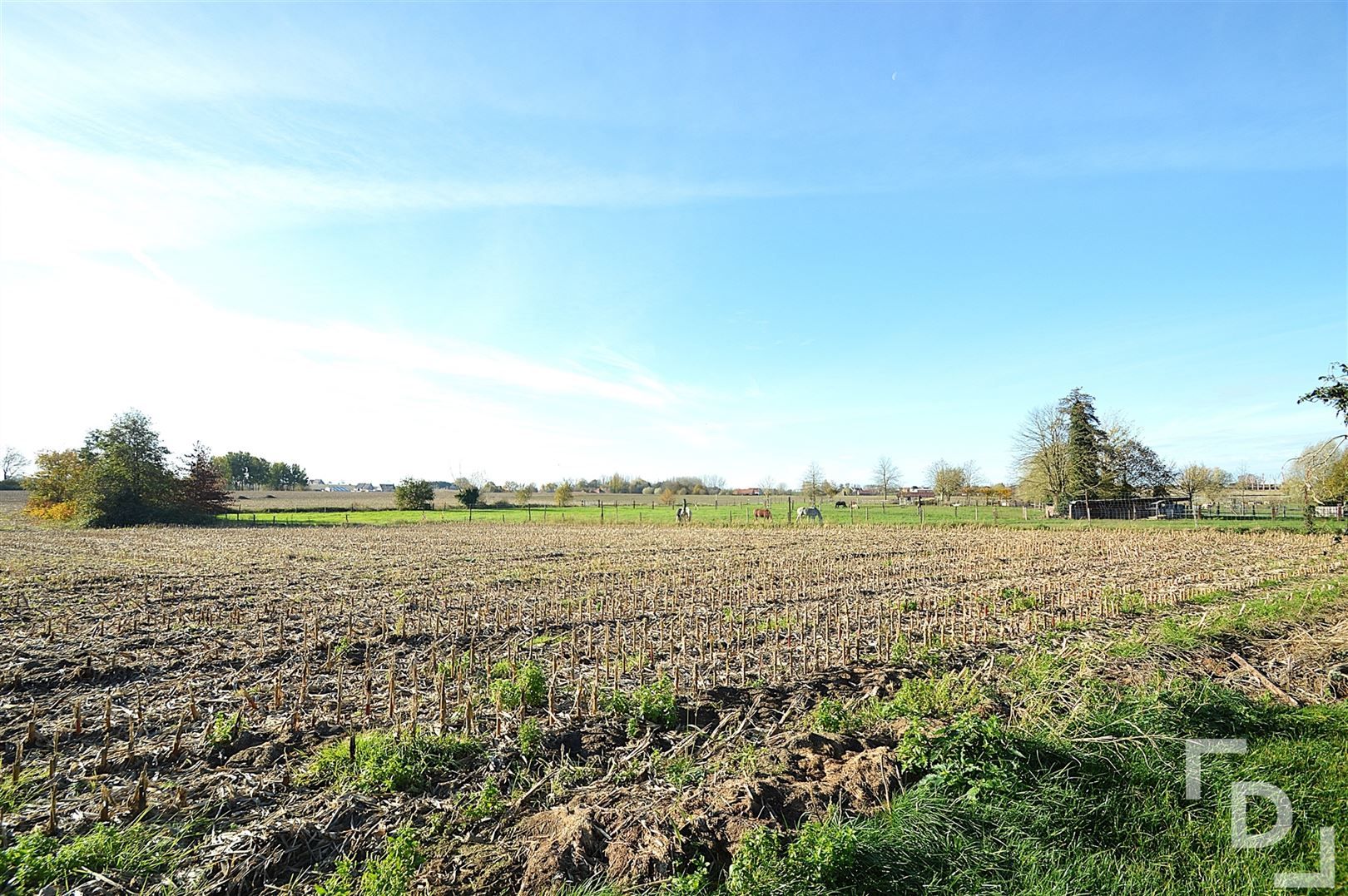 Toekomstig gerenoveerde woning te koop in Passendale. foto 5