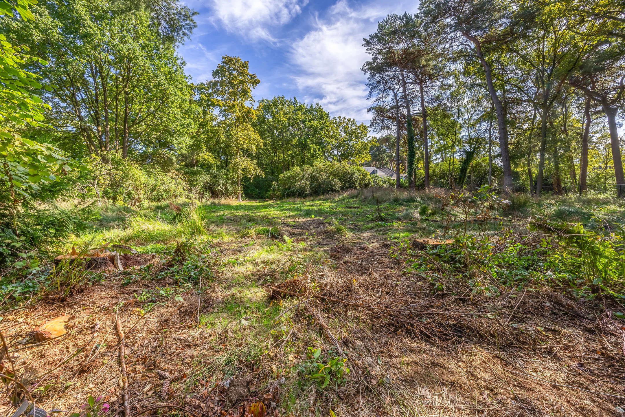 Brede bouwgrond met villa-vergunning in een oase van rust foto 8