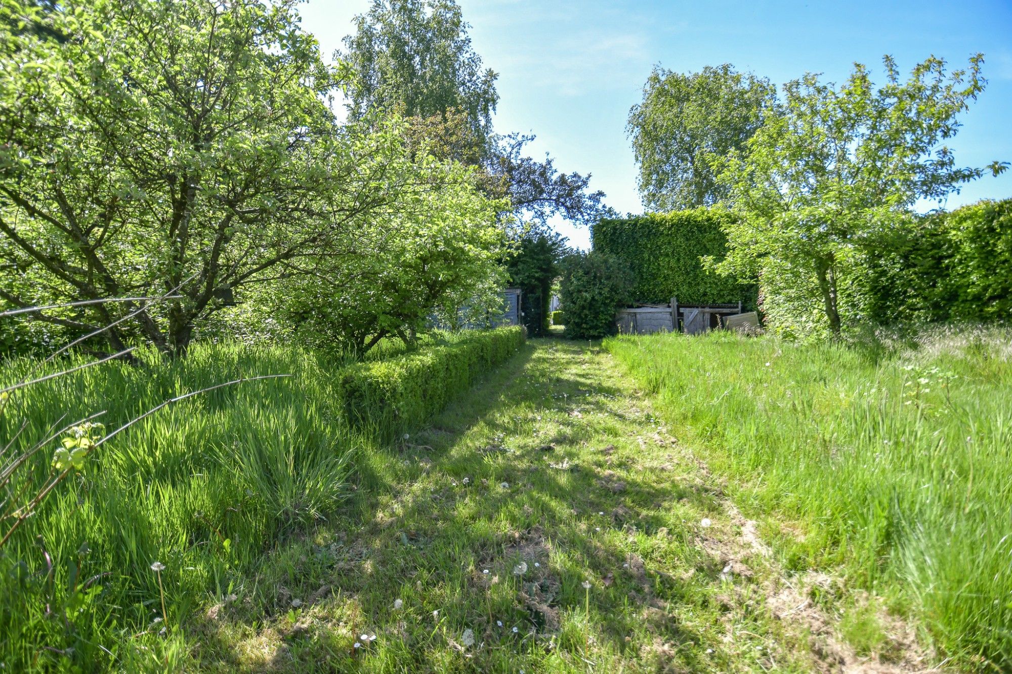 Woning en bijgebouw met prachtige idyllische tuin en uitweg op 2034 m² foto 26