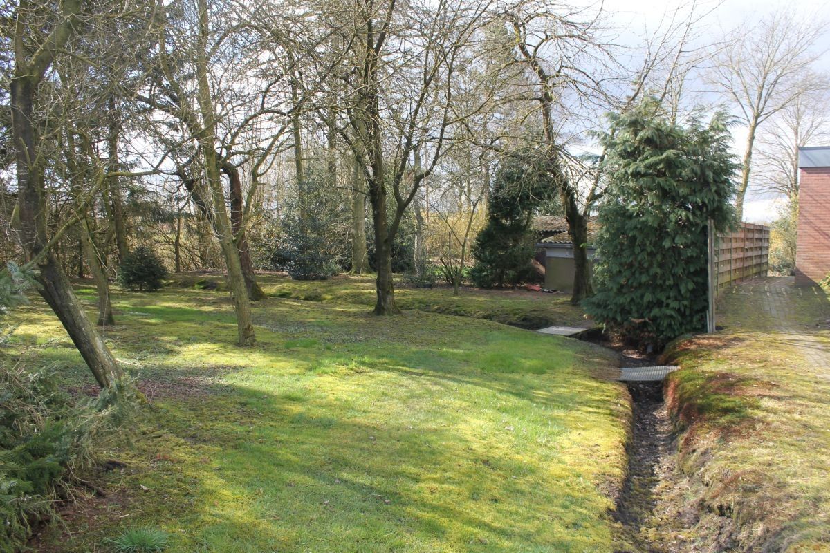 Hoeve met stallen en landbouwgrond te koop te Weelde foto 5