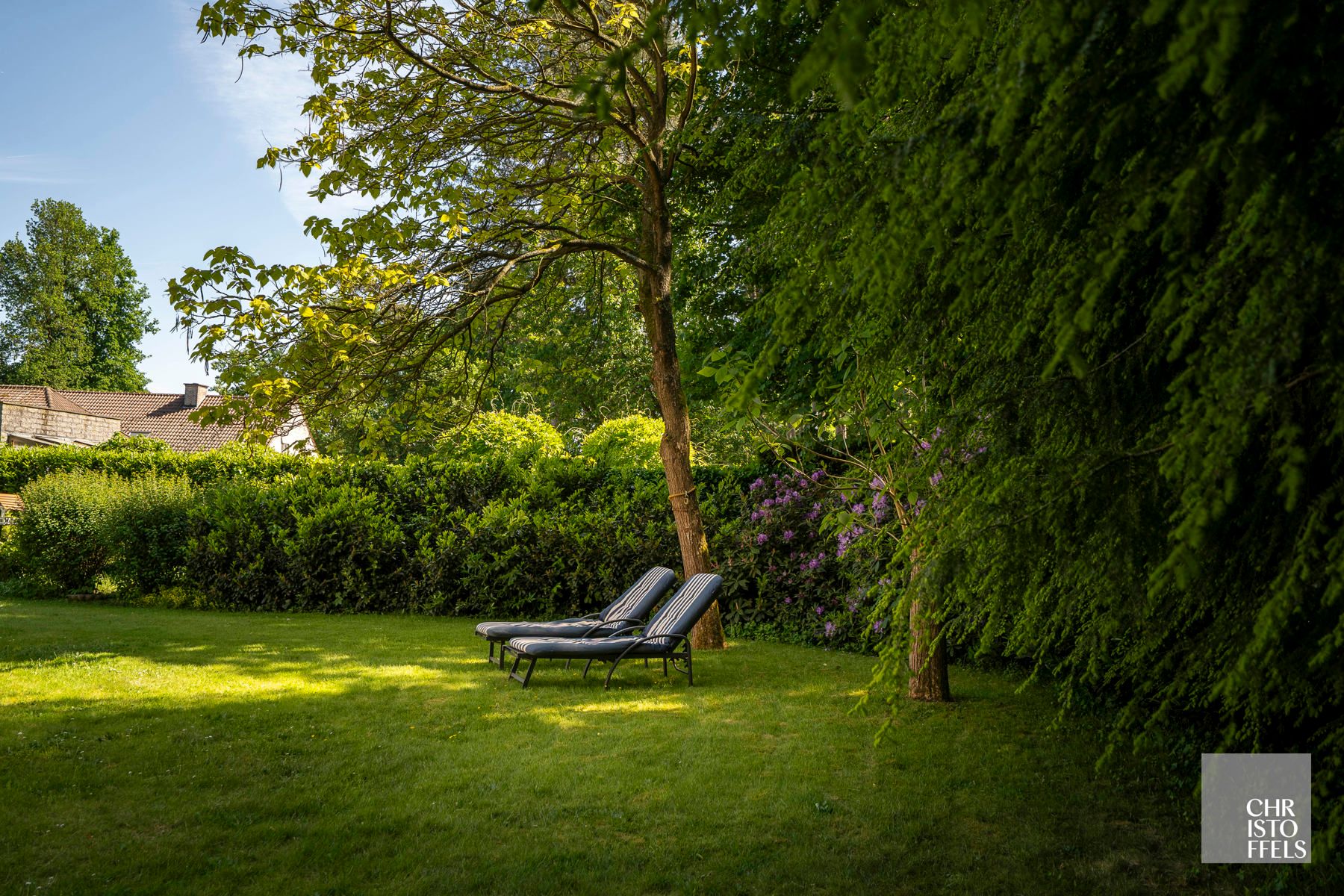 Charmante villa in een groene en rustige woonomgeving in Lanaken! foto 6