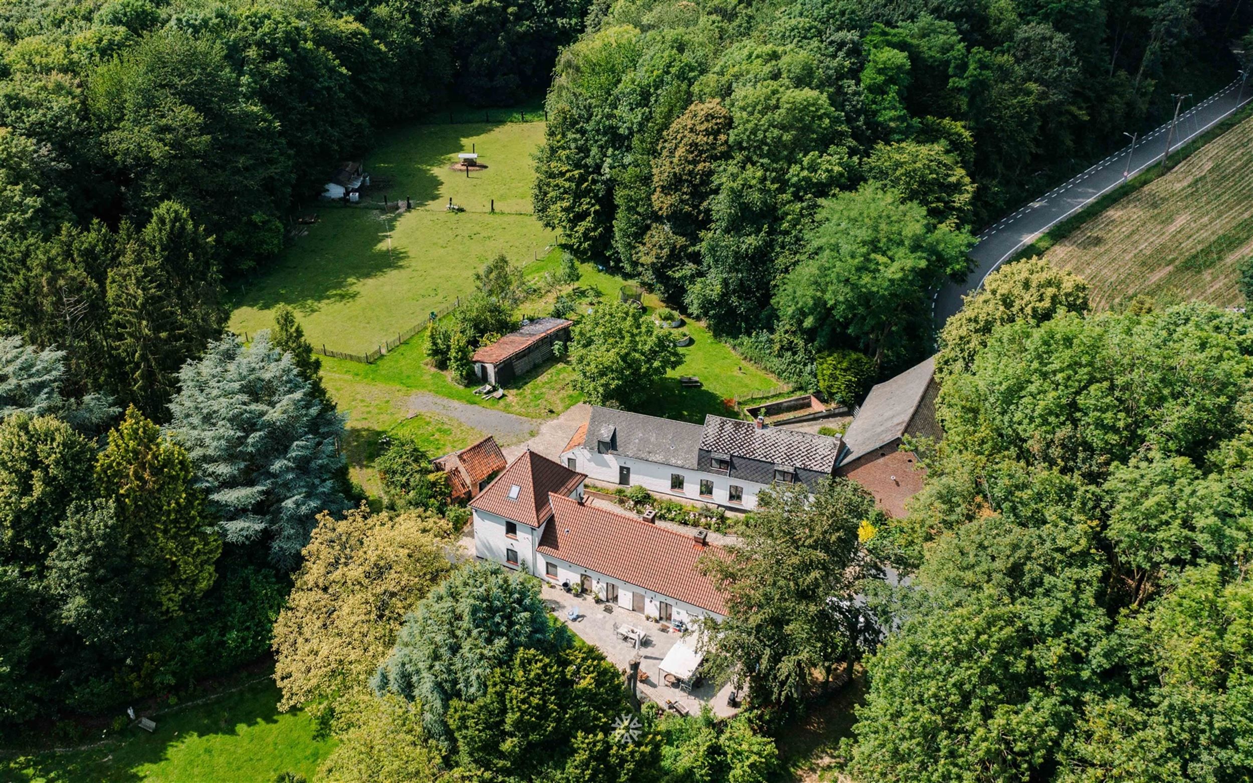 Uniek gelegen landgoed met gite midden de bossen foto 1