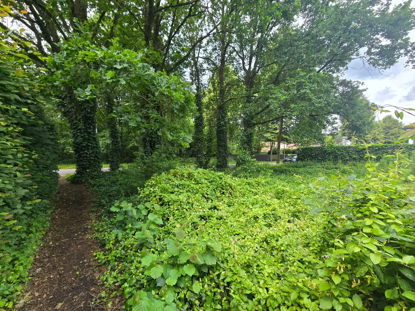 Bouwgrond voor OB, 9a16ca, met zicht op groen foto 6